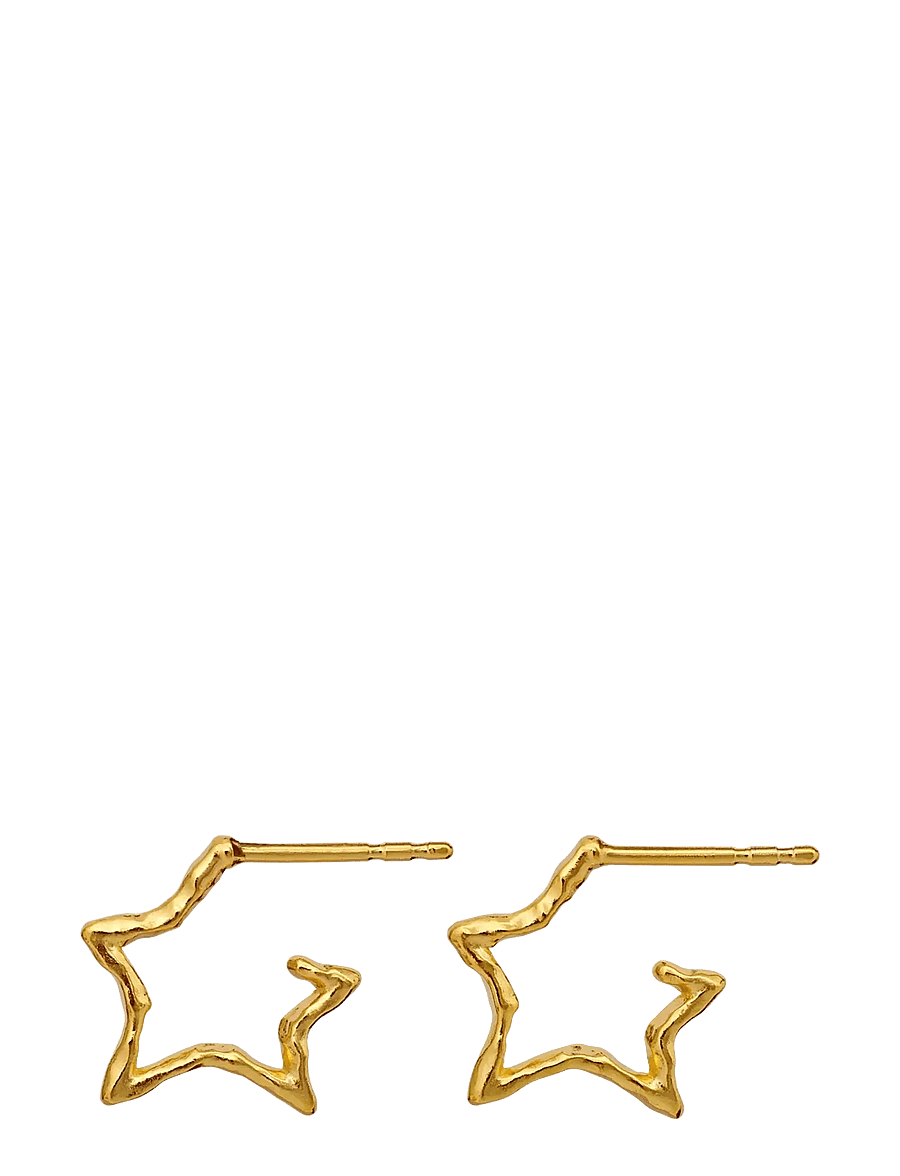 Maanesten - Zara Earrings - statement øreringe - gold - 0