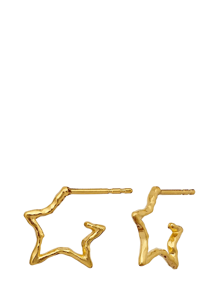 Maanesten - Zara Earrings - statement øreringe - gold - 1