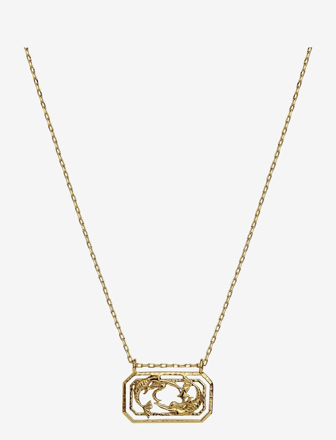 Maanesten - Zodiac Pisces Necklace 19. Feb - 20. Mar - ketten mit anhänger - gold - 1