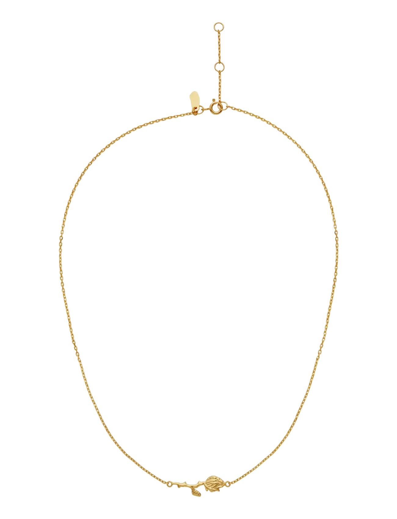 Maanesten - Rosanna Necklace - kedjehalsband - gold - 1