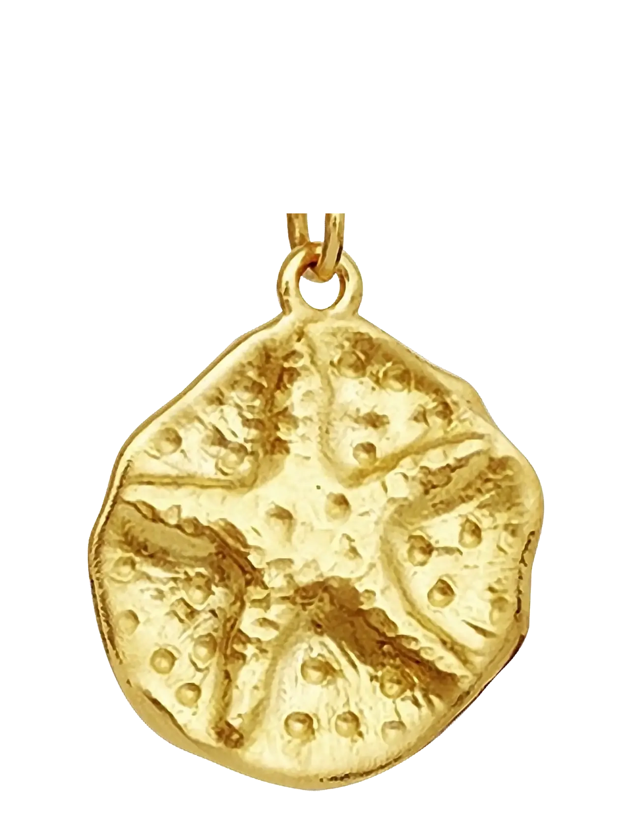 Maanesten - Bali Necklace - halskæder med vedhæng - gold - 1