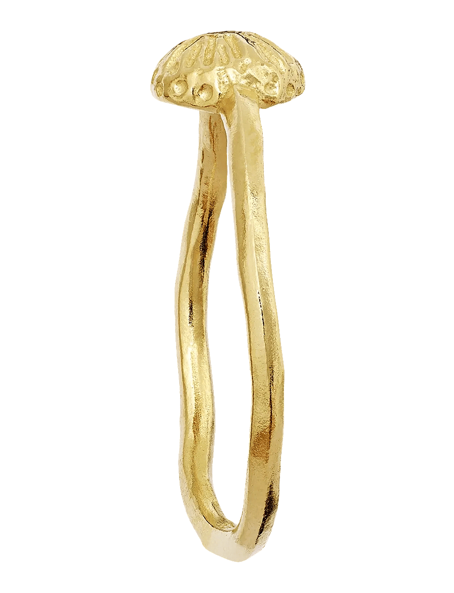Maanesten - Tacita Ring - ringar - gold - 1