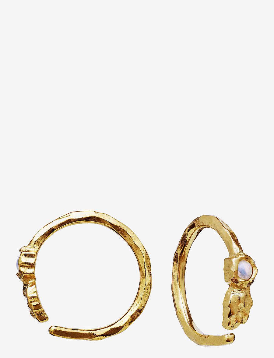 Maanesten - Florus Earring - ohrklemmen - gold - 2