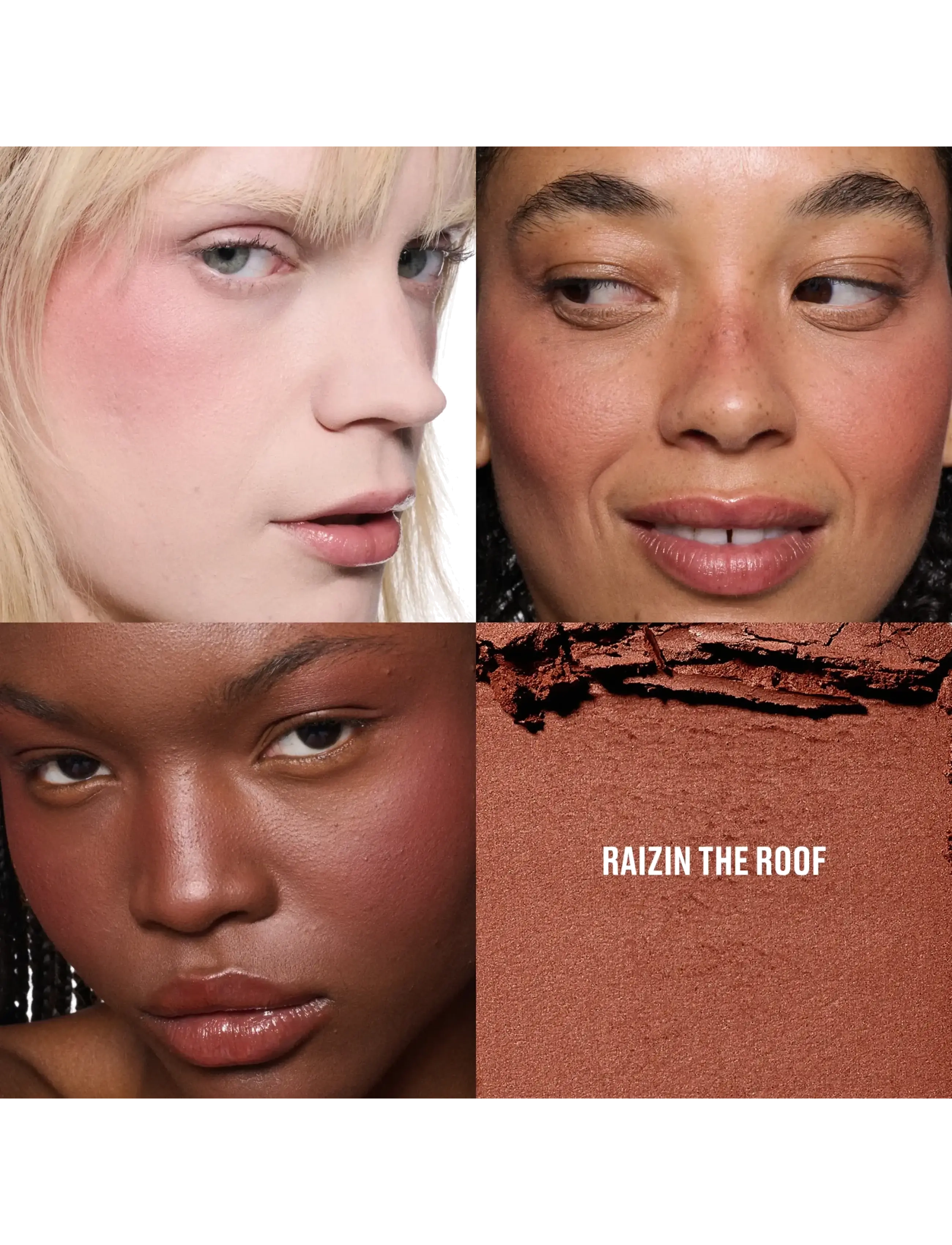MAC - Skinfinish Colourstruck Blush - makeup - raisin the roof - 2
