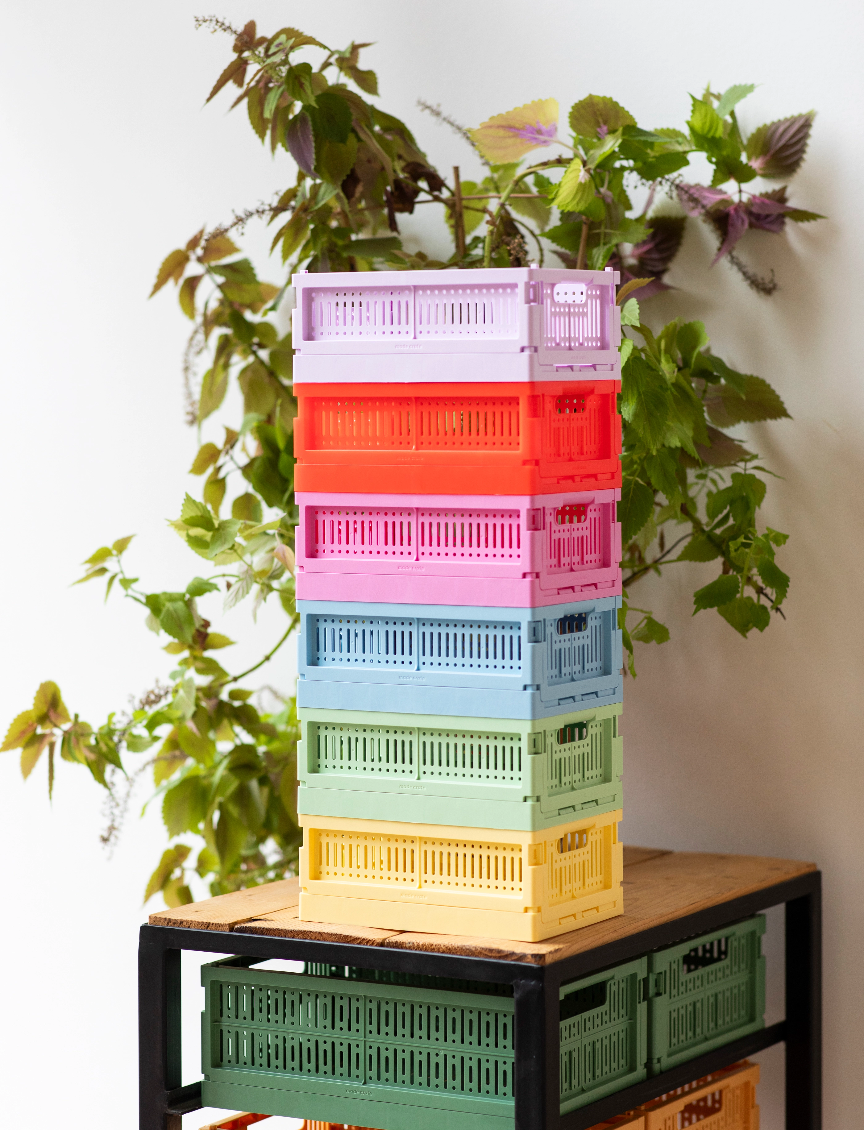 Made Crate - made crate mini - lowest prices - crystal blue - 5