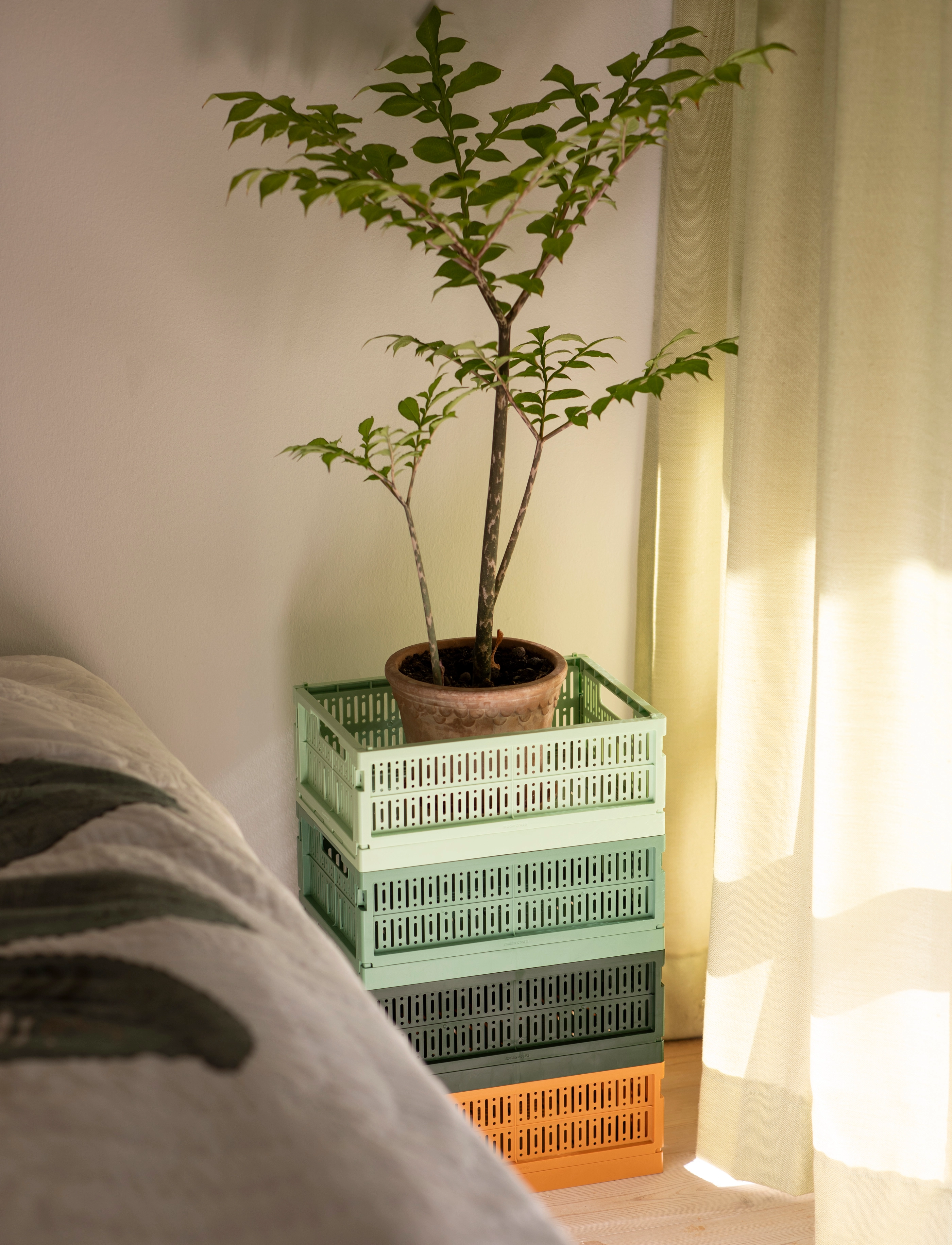 Made Crate Made Crate Midi, 34X24X13 cm, Green, Opbevaring > Opbevaringskurve, Unisex