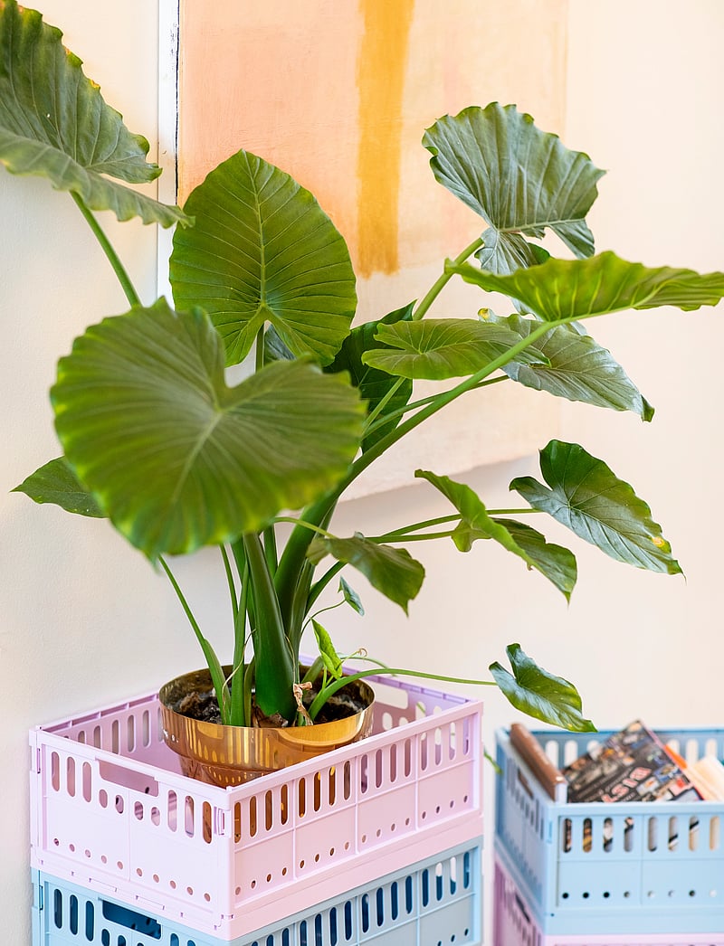 Made Crate - made crate maxi - die niedrigsten preise - lilac - 2