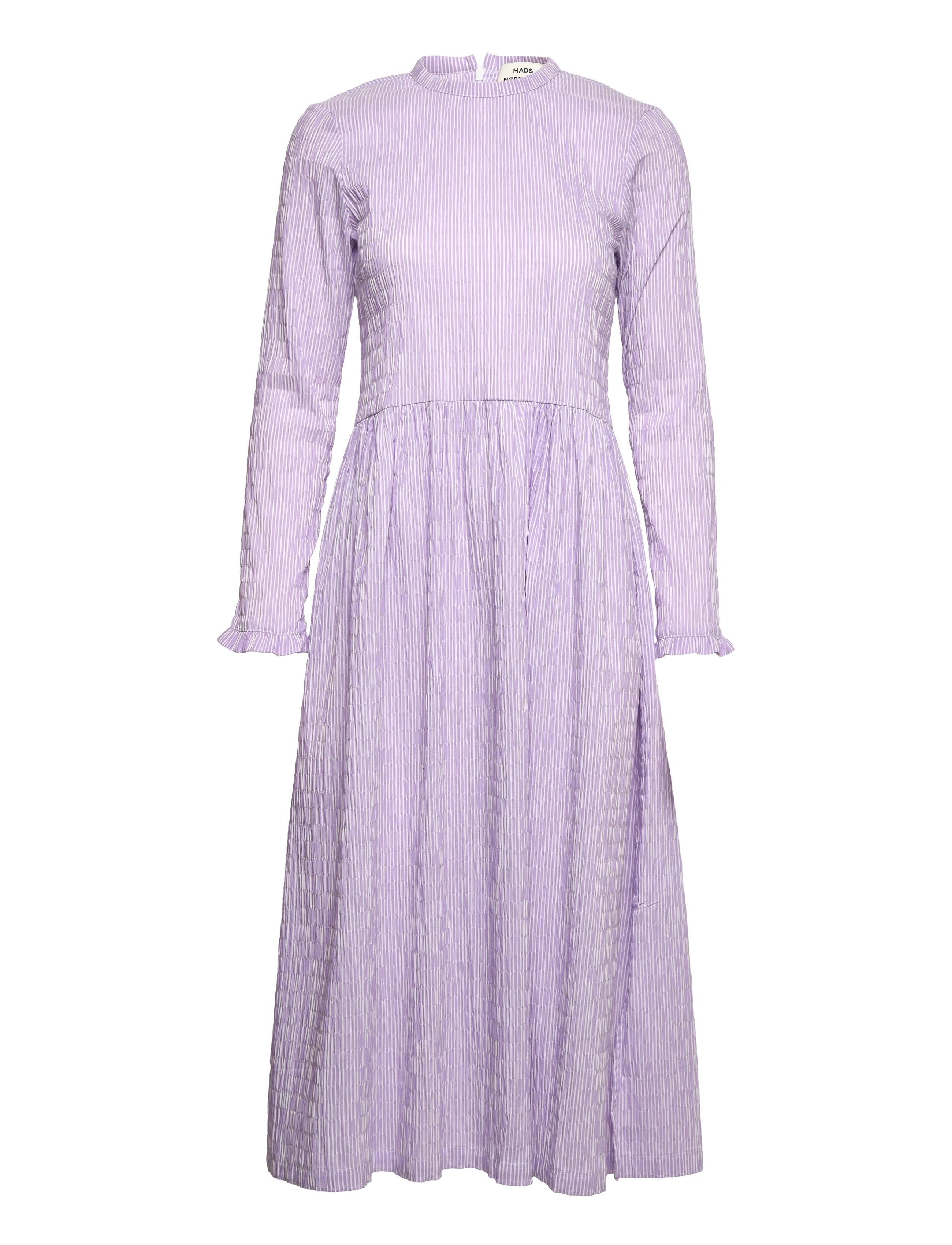 PURPLE HEBE / SNOW WHITE