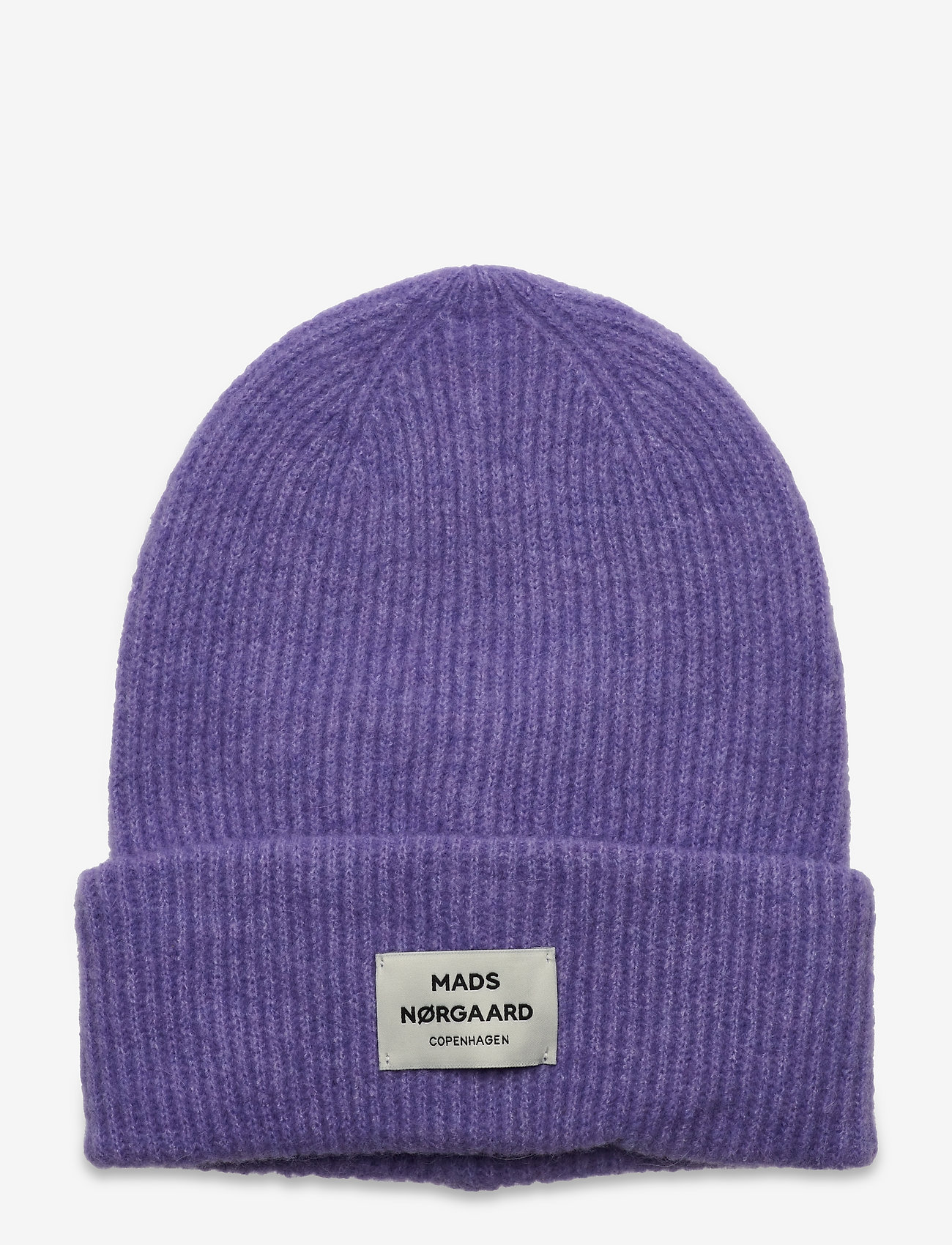 ASTER PURPLE