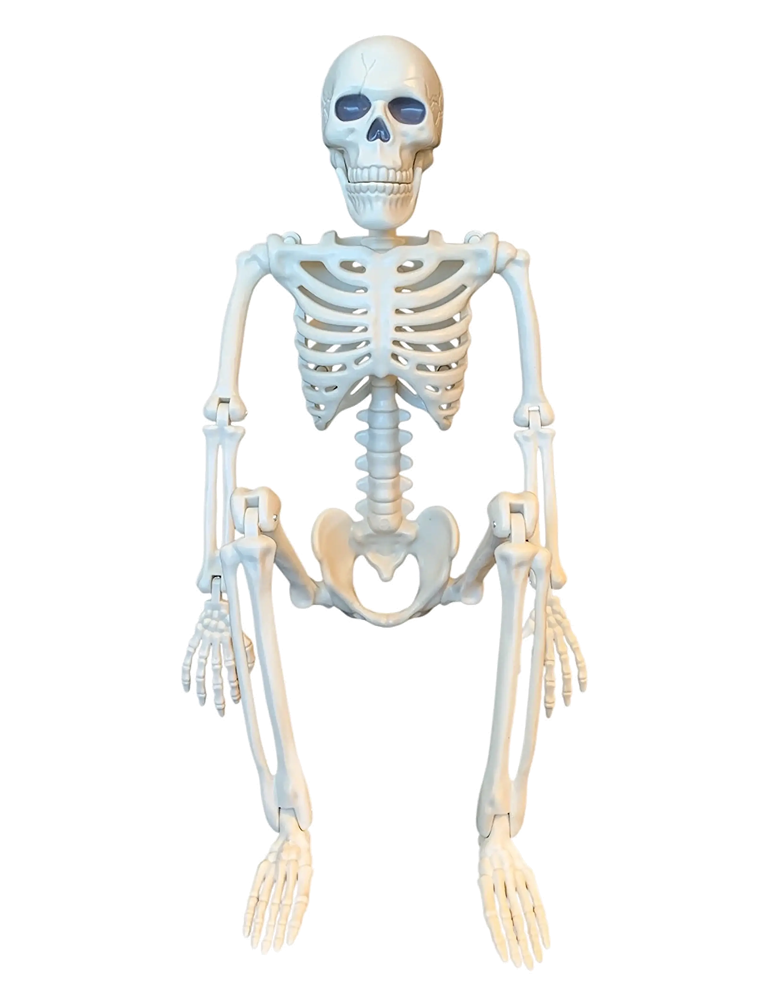 Halloween skeleton decor - WHITE