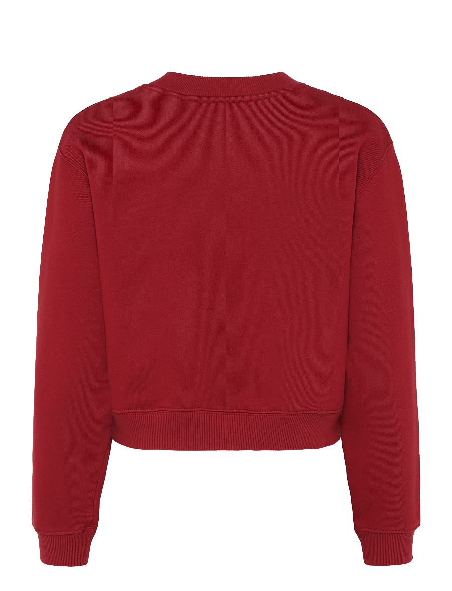 Maison Kitsune - GRADIENT MAISON KITSUNE BOXY SWEATSHIRT - sweatshirts - winterberry - 2