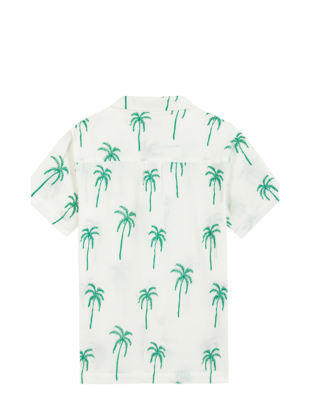 Maison Labiche - GERMAIN PALM - white palm tree emby - 1