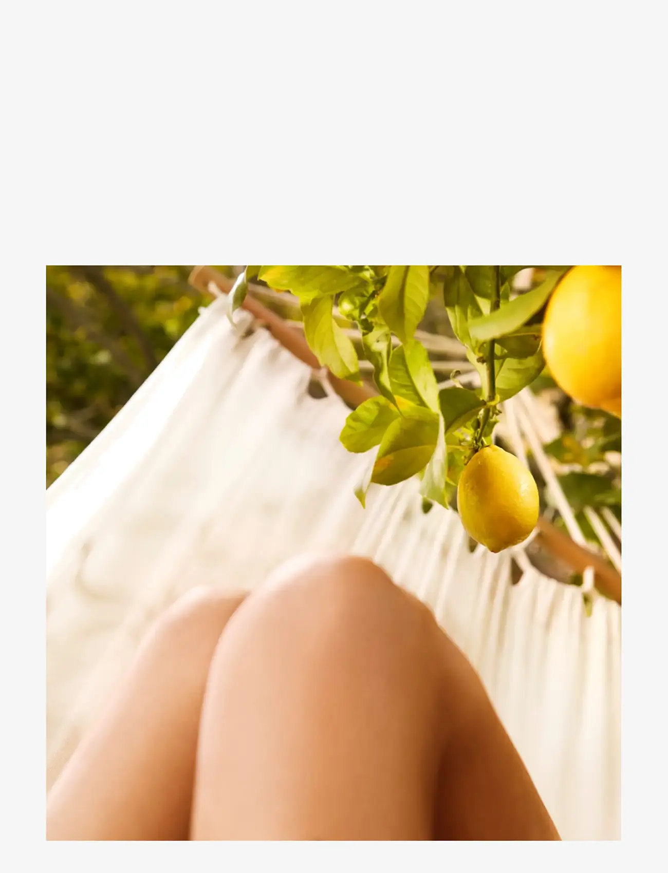 Maison Margiela - REPLICA FRAGRANCE Eau de toilette Under the Lemon Tree 100.00 ML - til hende  - clear - 2