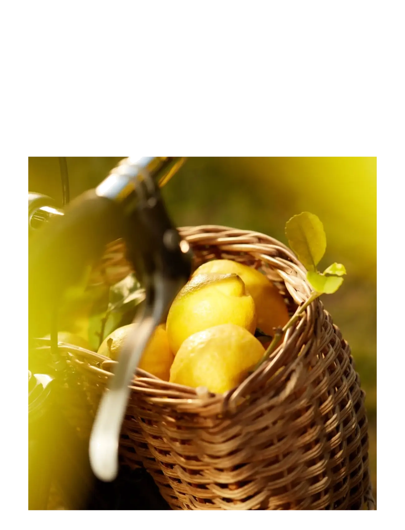 Maison Margiela - REPLICA FRAGRANCE Eau de toilette Under the Lemon Tree 100.00 ML - til hende  - clear - 5