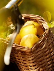Maison Margiela - REPLICA Under Lemon Trees Eau de Toilette - over 1000 kr - clear - 4