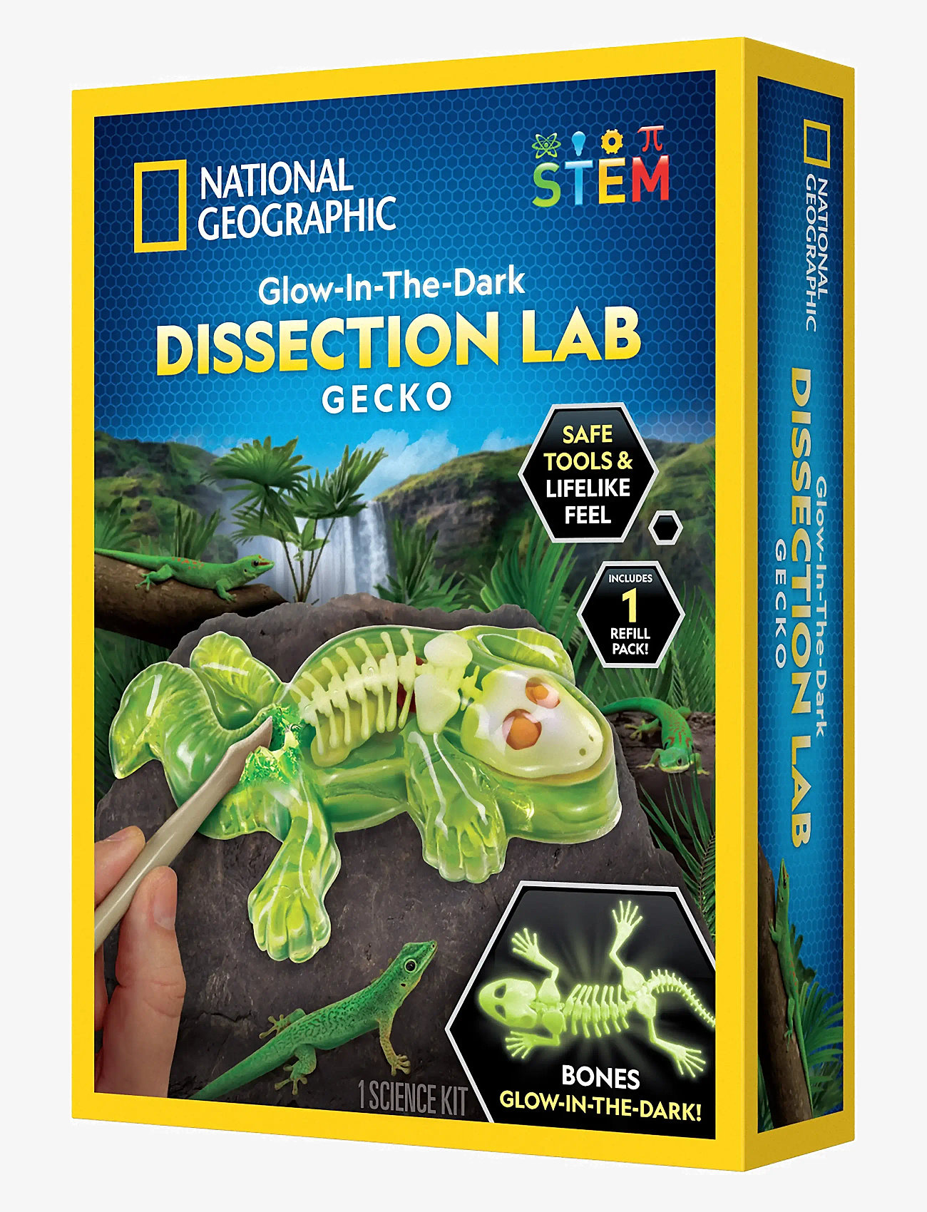 National Geographic - National Geographic Gecko Dissection Lab - tilraunir og vísindi - multi - 0