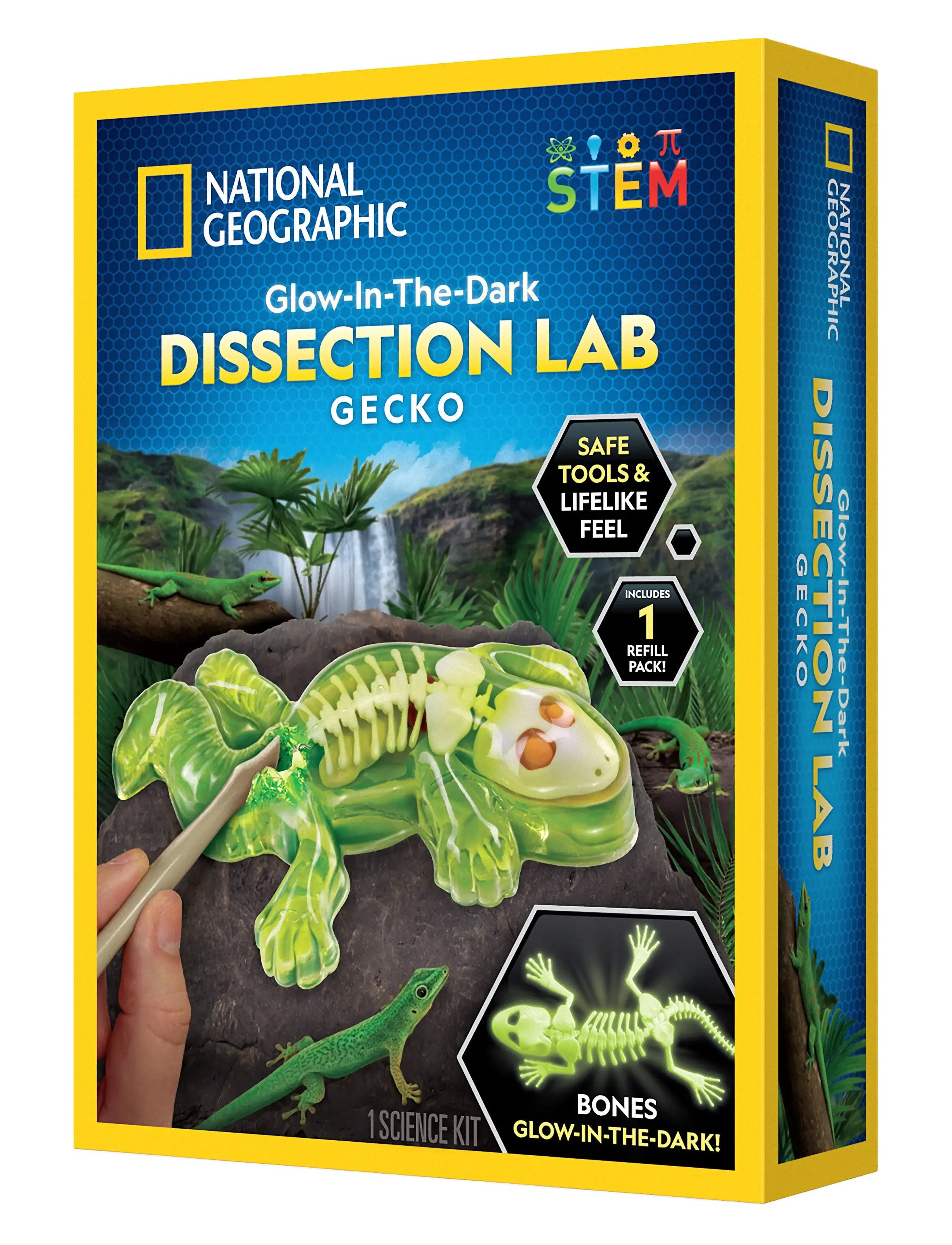 National Geographic National Geographic Gecko Dissection Lab - Last chance - MULTI / multi