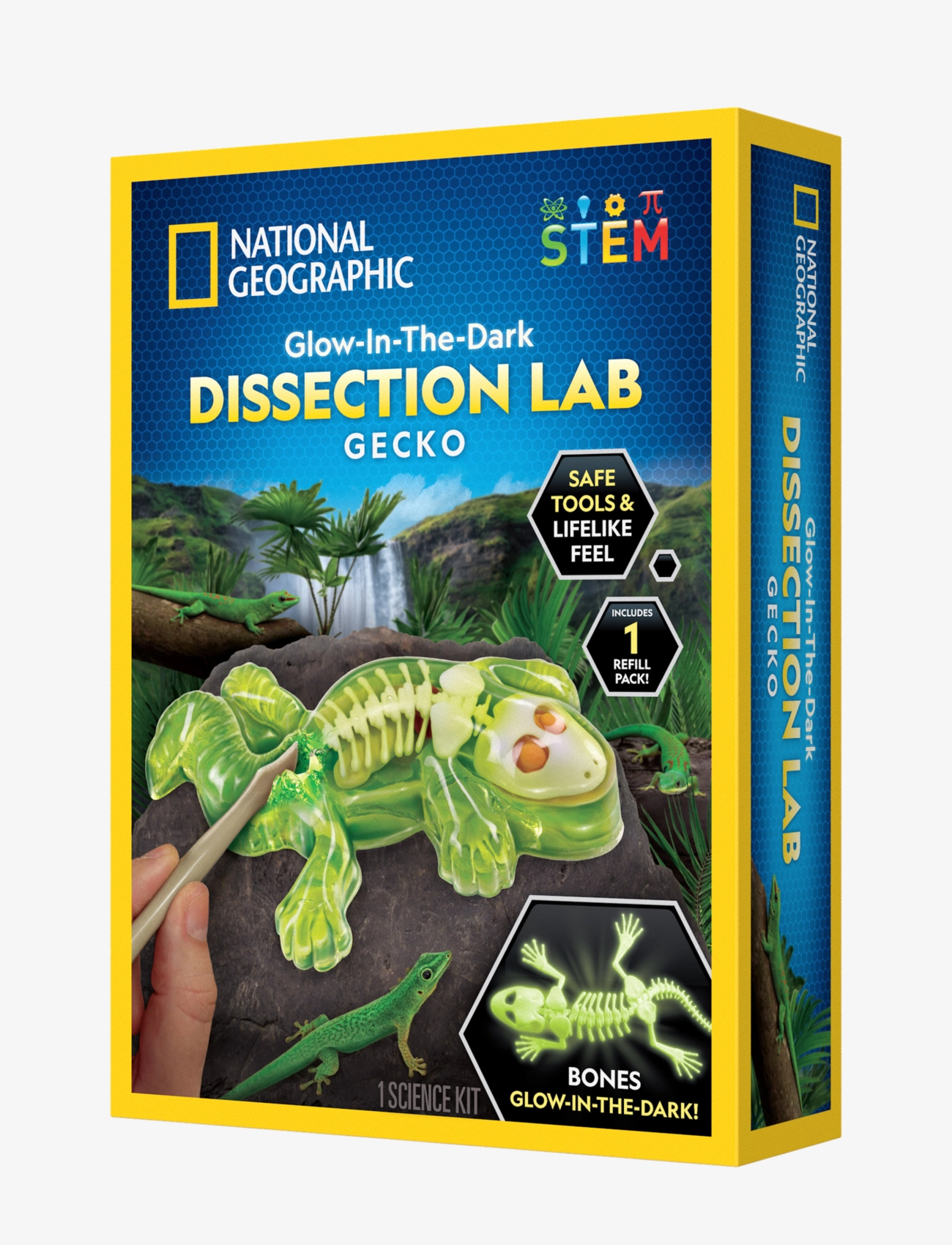 National Geographic - National Geographic Gecko Dissection Lab - tilraunir og vísindi - multi - 1