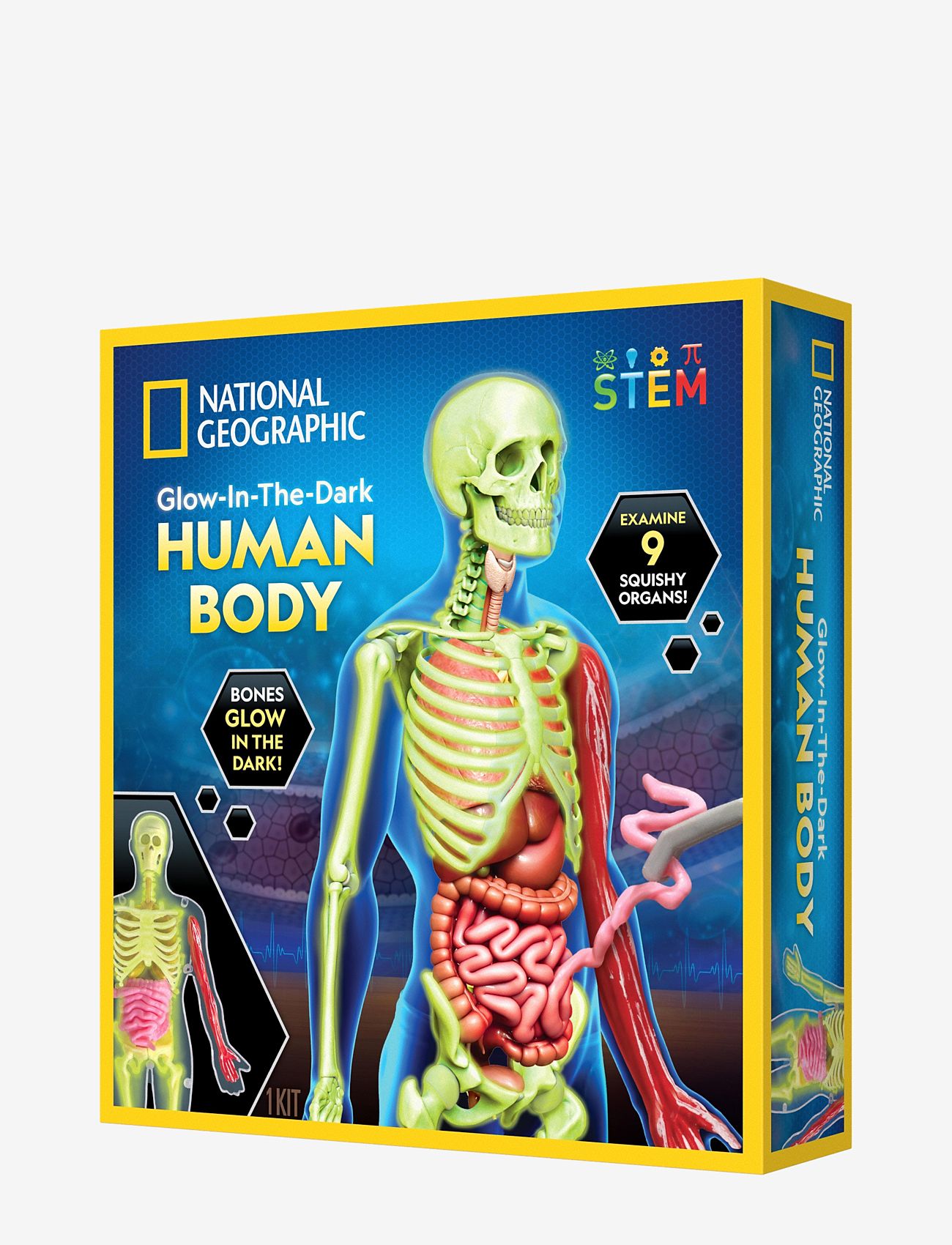 National Geographic - National Geographic Human Body Science Kit - brädspel - multi - 1