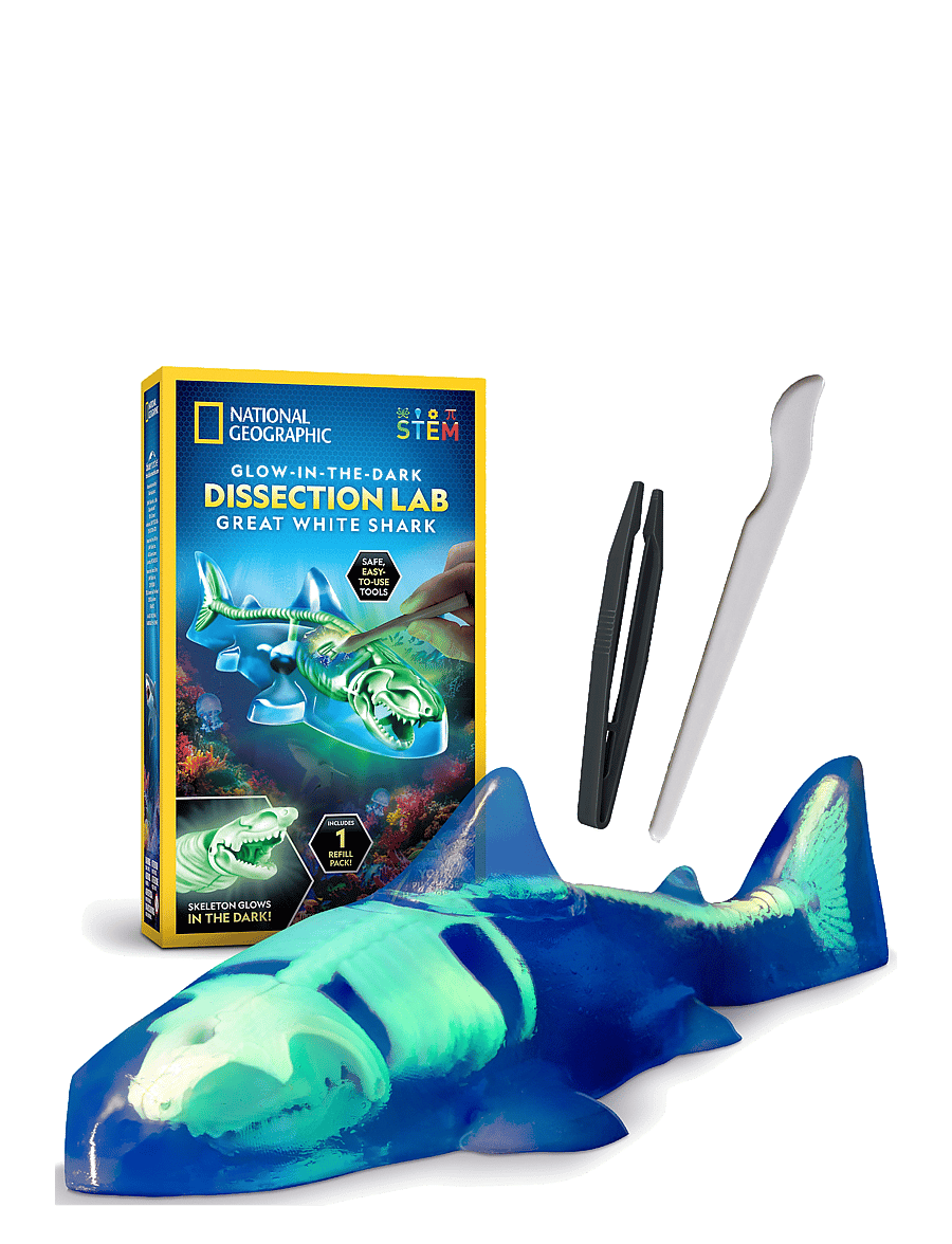 National Geographic - National Geographic Dissection Lab Shark - eksperimenter og videnskab - multi - 2