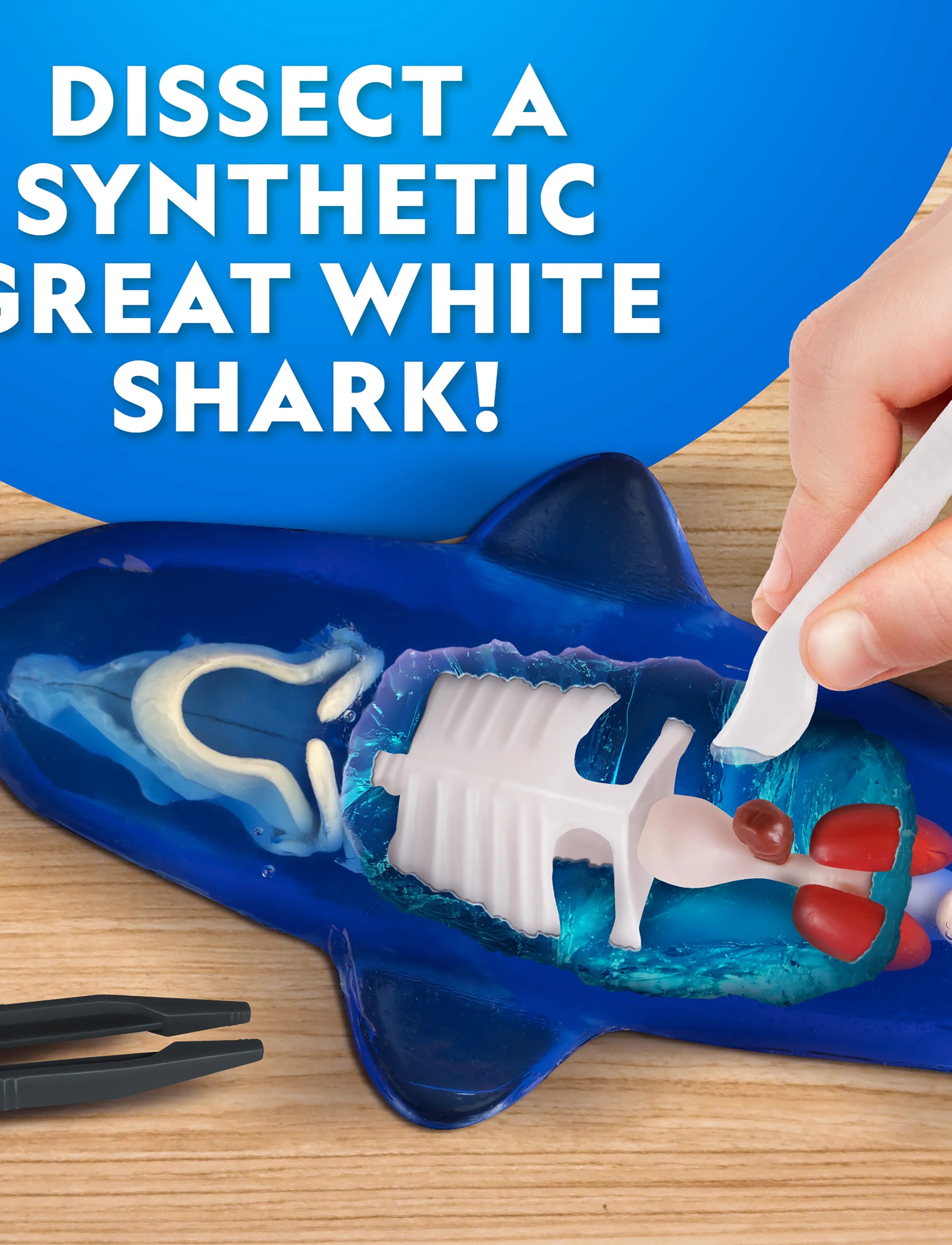 National Geographic - National Geographic Dissection Lab Shark - eksperimenter og videnskab - multi - 5