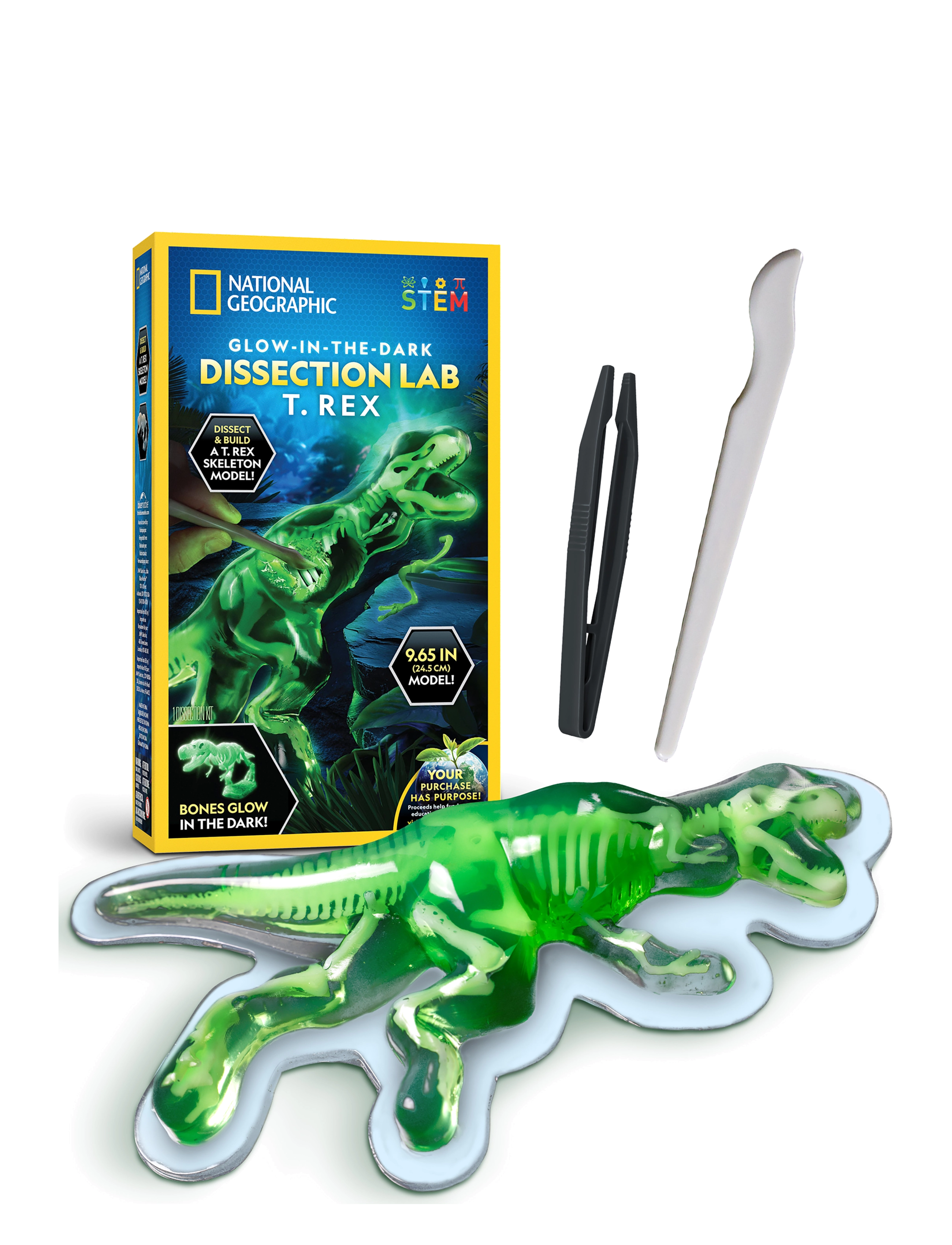 National Geographic National Geographic Dissection Lab T. Rex - Eksperimenter og videnskab - MULTI / green