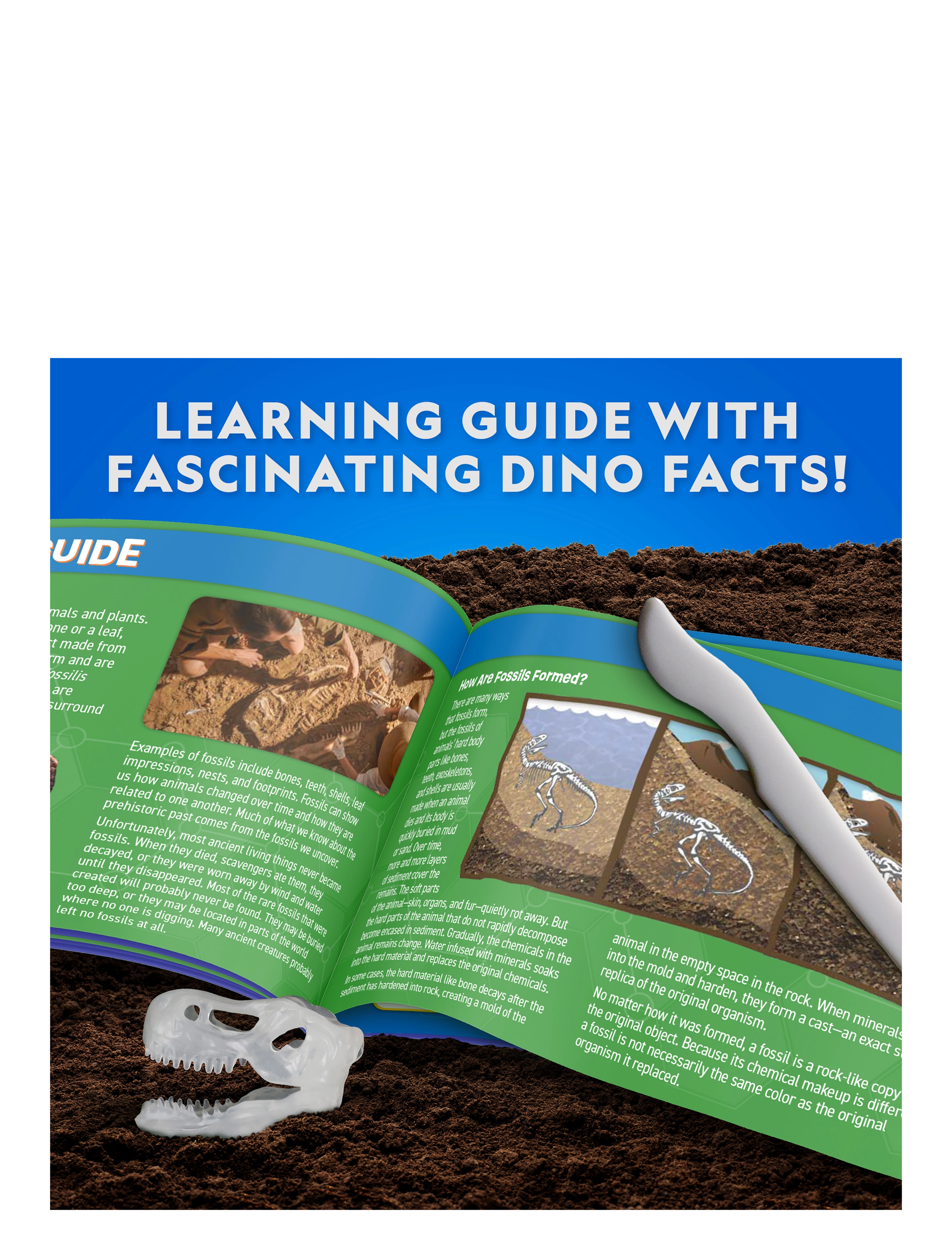National Geographic - National Geographic Dissection Lab T. Rex - multi - 3