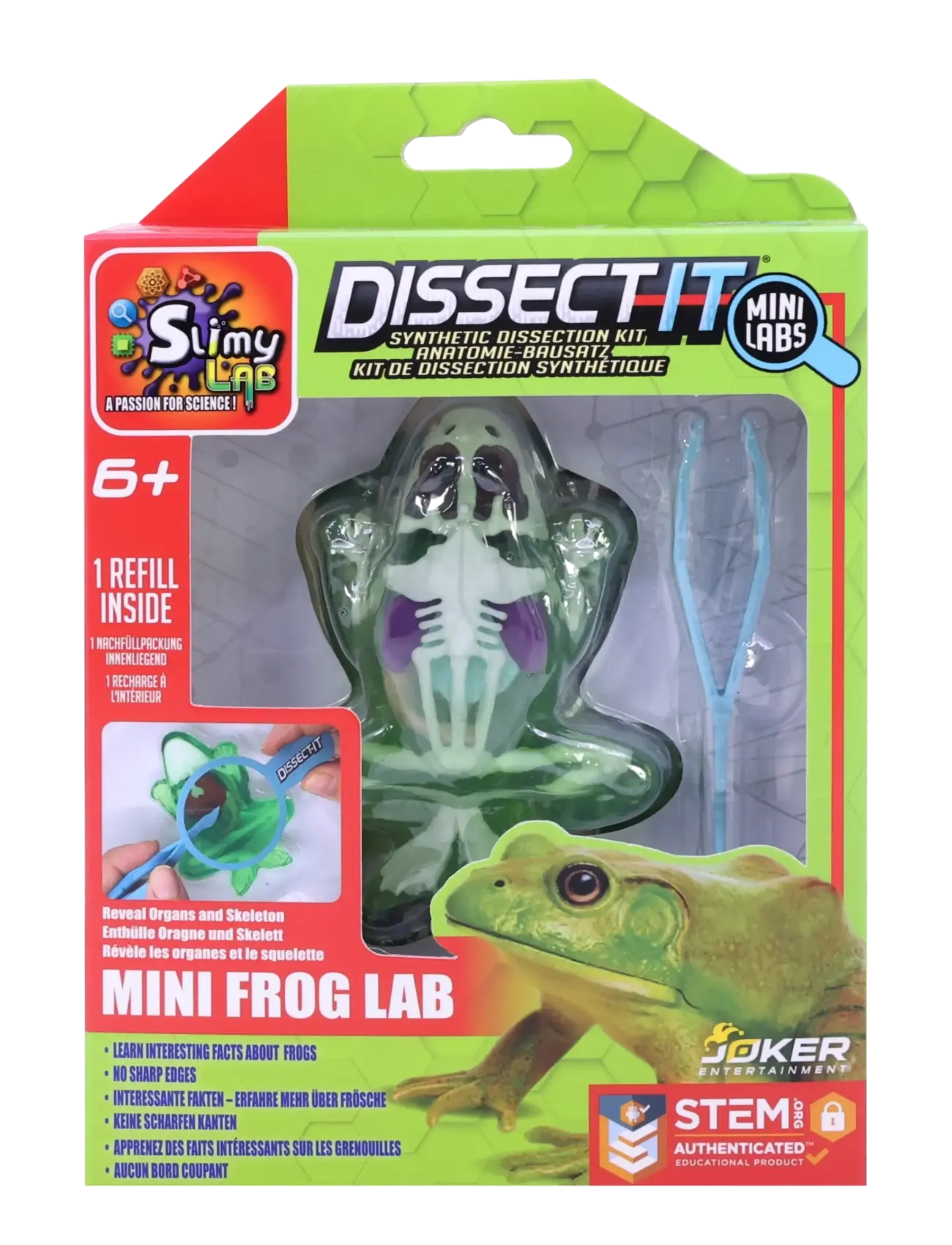 MAKI Sensory Compounds Frog In Giftbox, One Size, Green, Legetøj > Experiments And Science, Børn