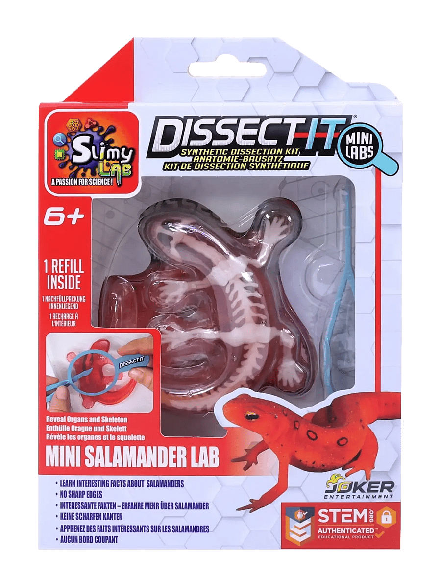MAKI - Sensory Compounds Salamander In Giftbox - eksperimenter og videnskab - multi - 0