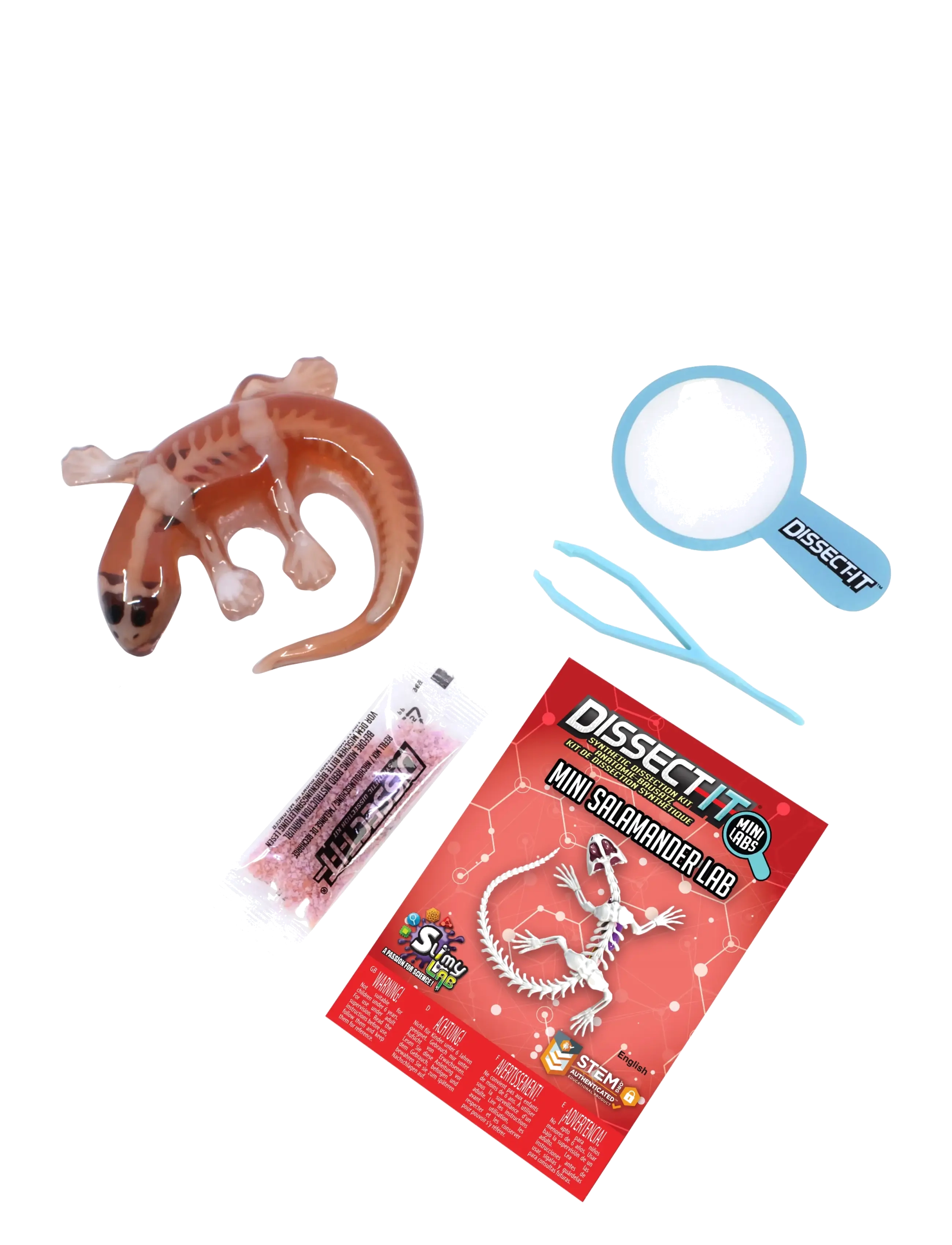 MAKI - Sensory Compounds Salamander In Giftbox - experiment & vetenskap - multi - 1