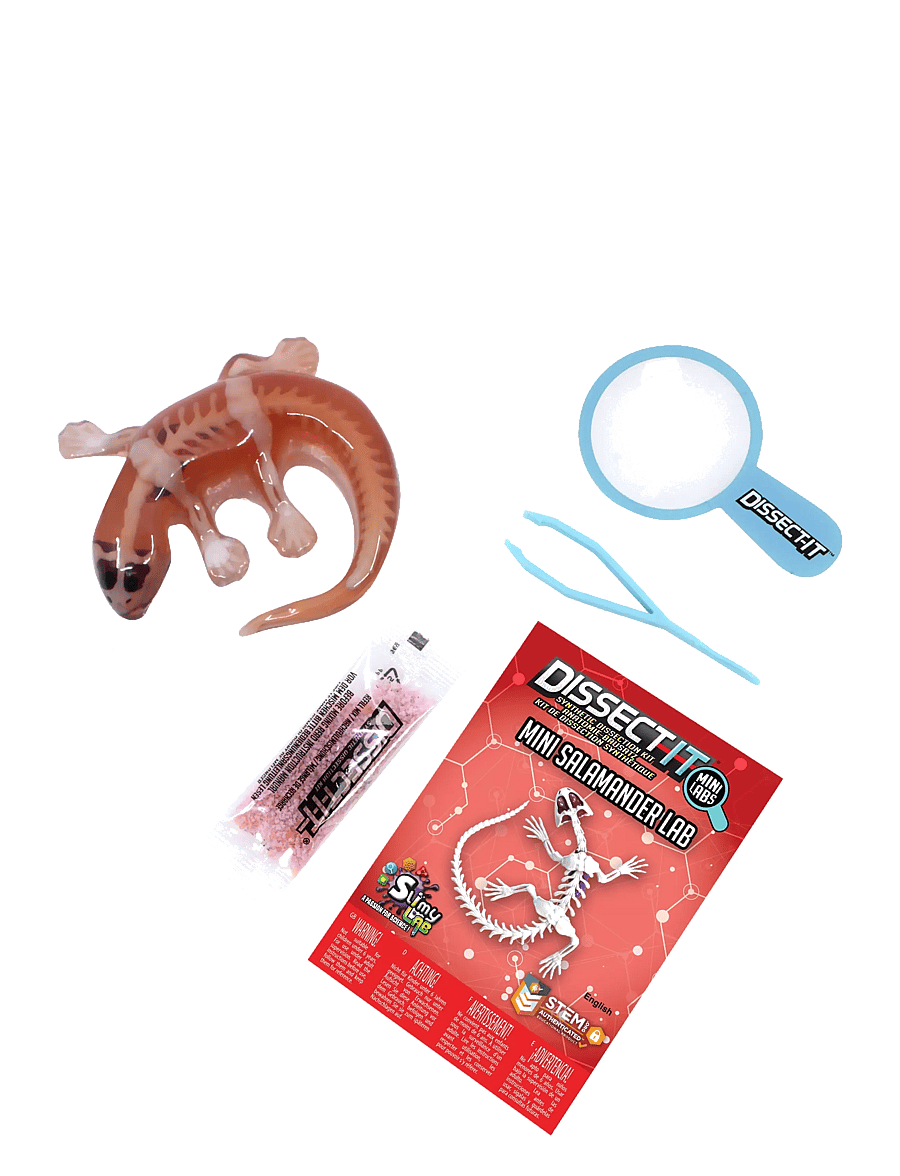MAKI - Sensory Compounds Salamander In Giftbox - eksperimenter og videnskab - multi - 1
