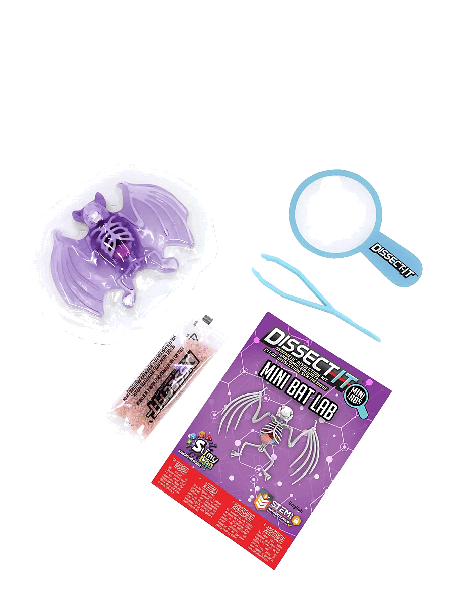 MAKI - Sensory Compounds Bat In Giftbox - experiment & vetenskap - multi - 1