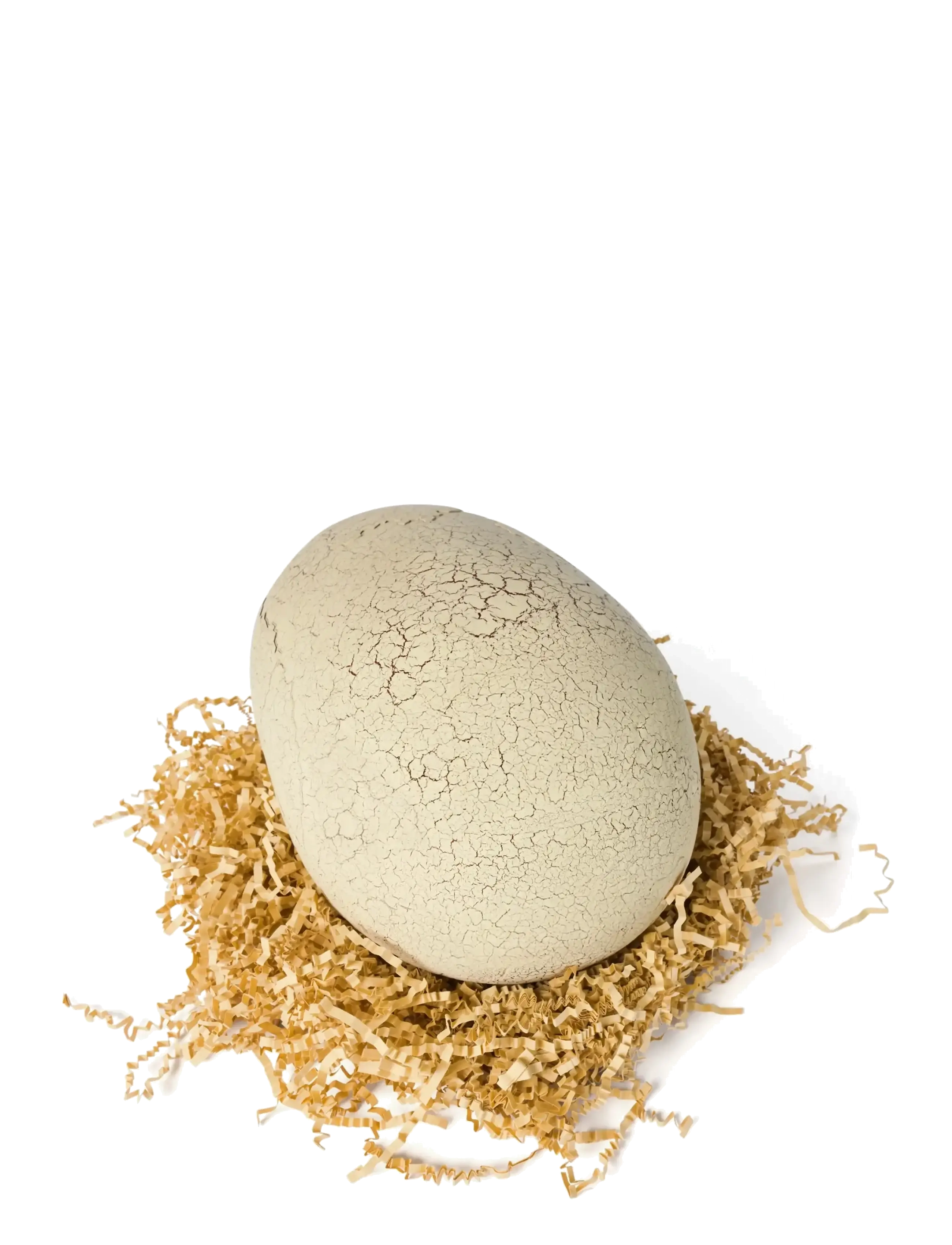 T-Rex - Primal Hatch Interactive Hatching Dino - interaktive dyr - muti - 2