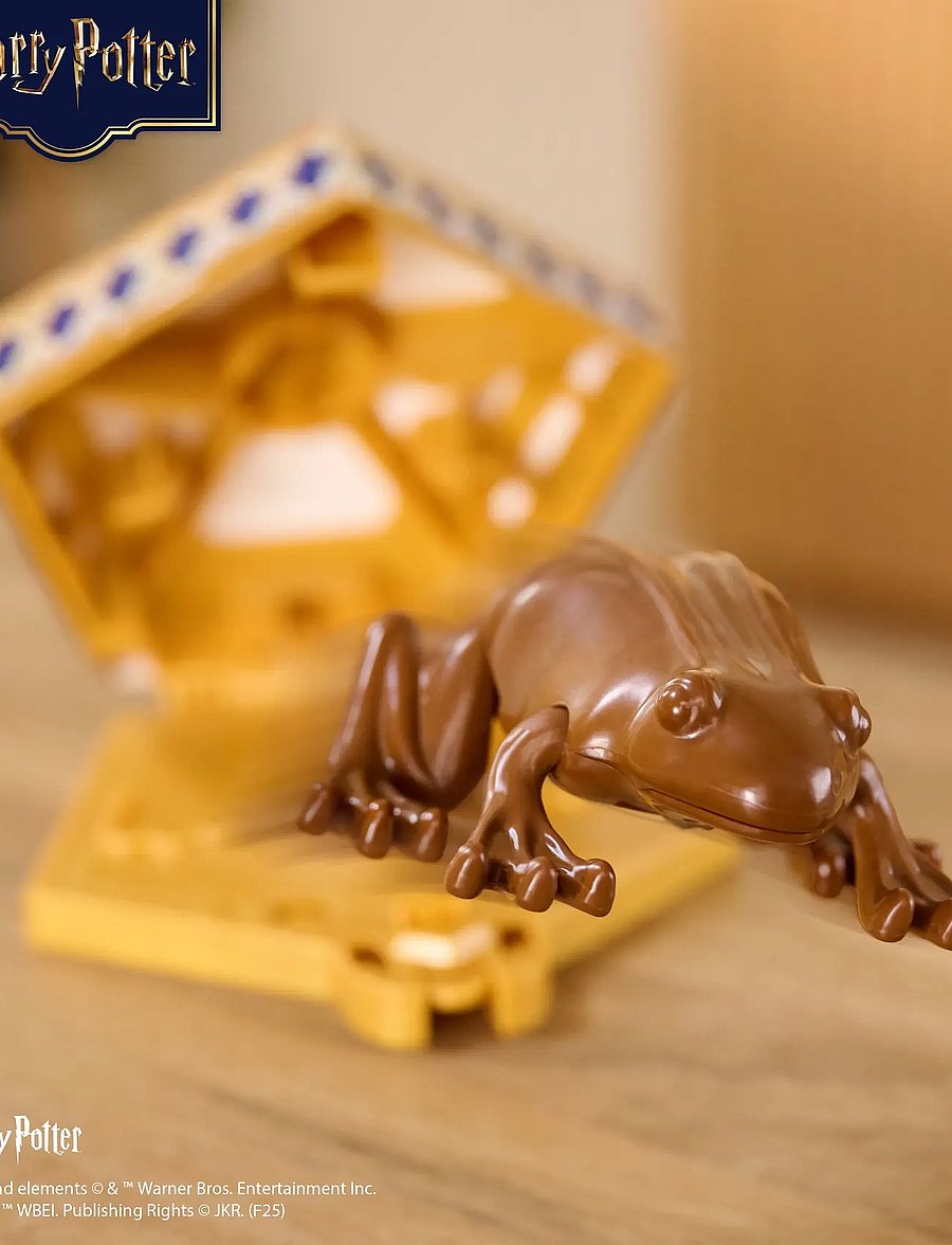 Harry Potter - Harry Potter Chocolate Frog - kvikmynda- og ævintýrapersónur - multi - 0