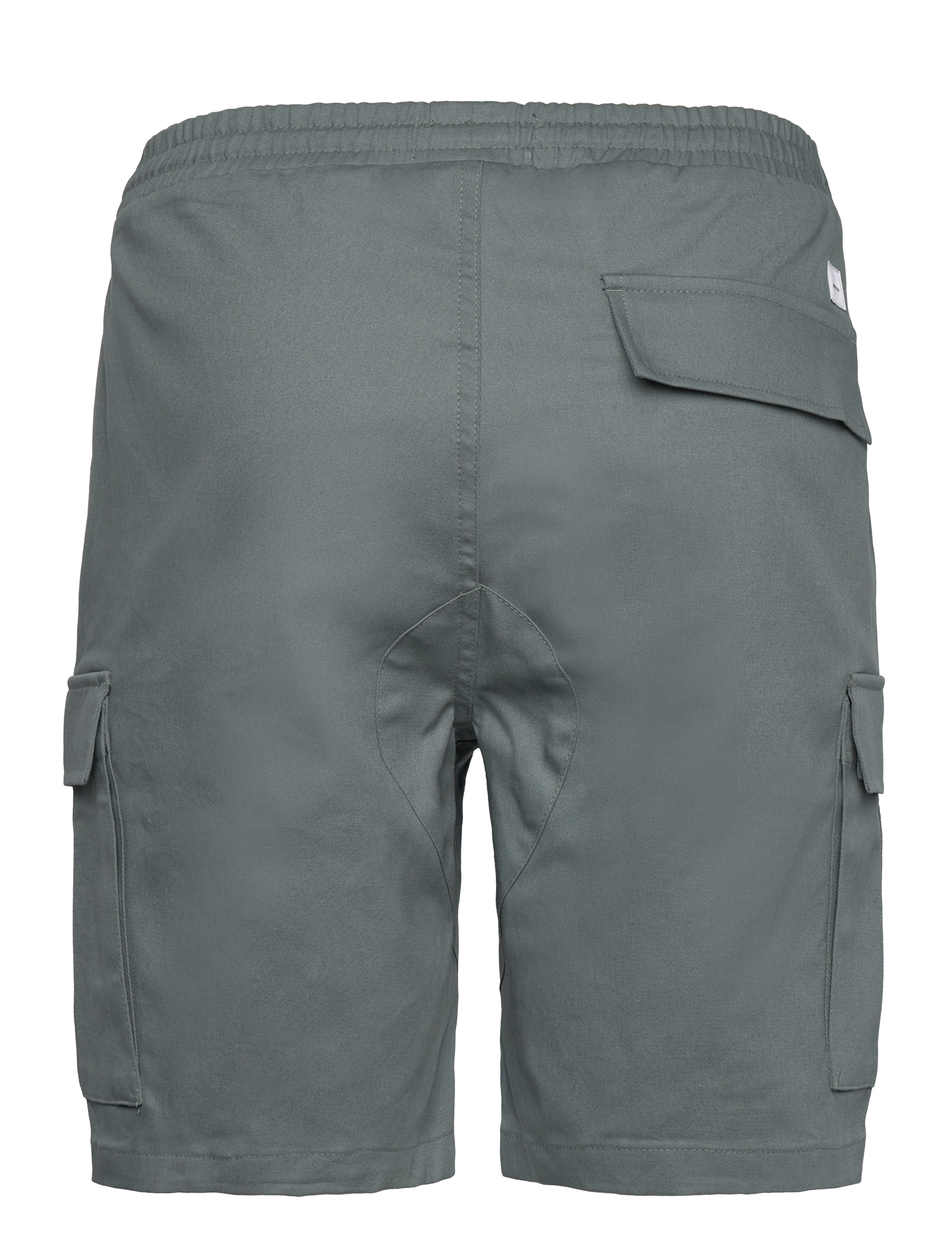 Makia - Thule Shorts - sammal green - 1