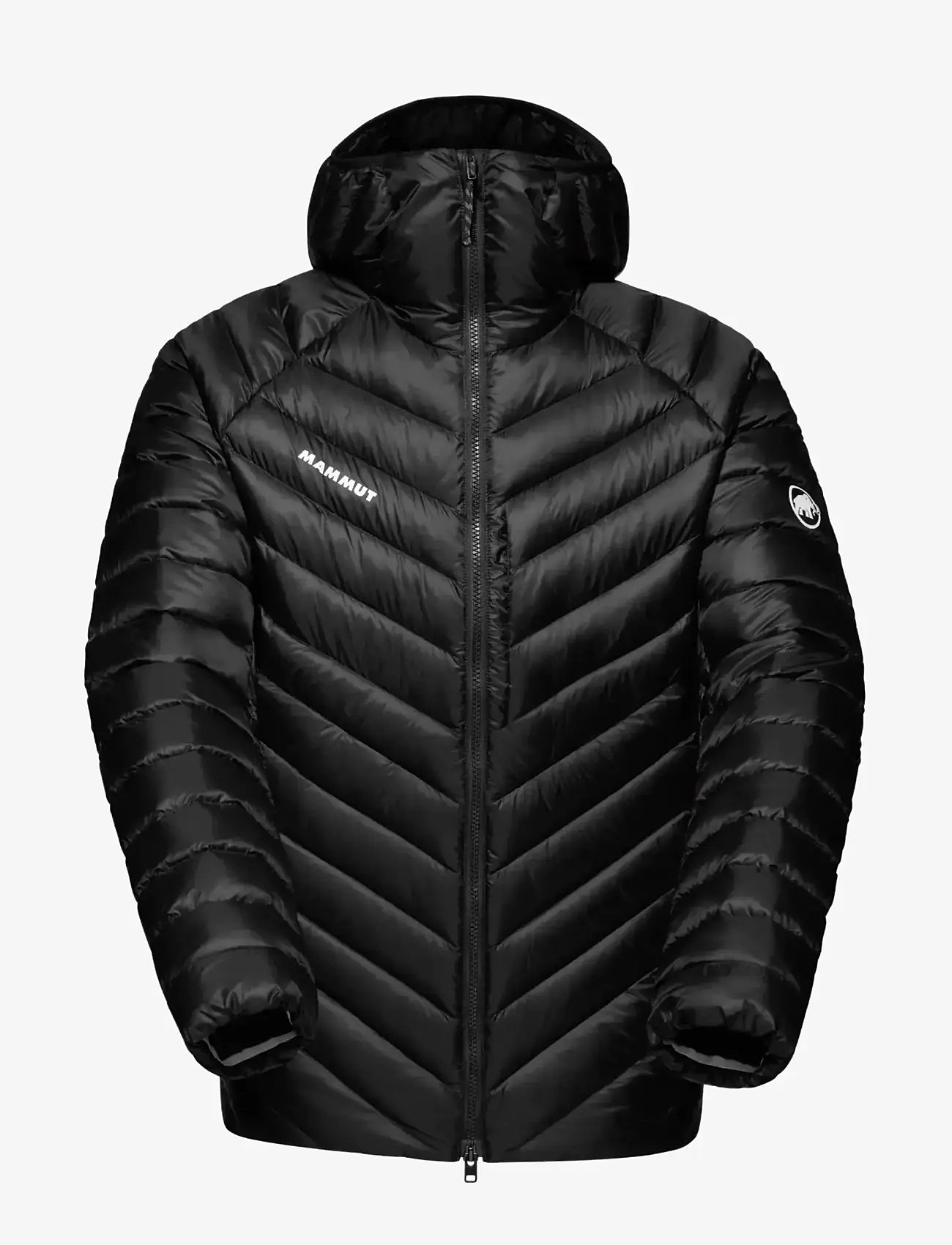 Mammut - Broad Peak IN Hooded Jacket Men - sulejoped ja voodriga joped - black - 1