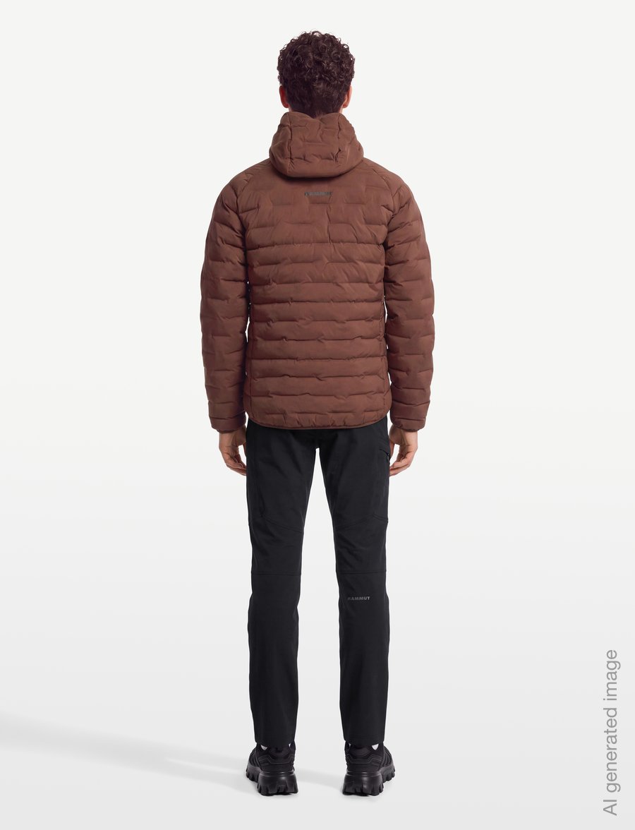 Mammut - Sender IN Hooded Jacket Men - Āra un ūdensnecaurlaidīgas jaki - soil - 4