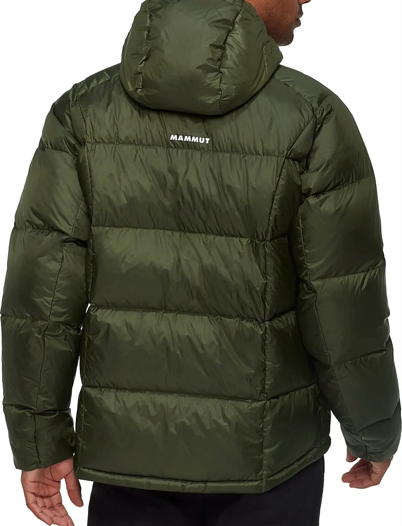 Mammut - Glacier Glow IN Hooded Jacket Men - sulejoped ja voodriga joped - dark marsh - 3