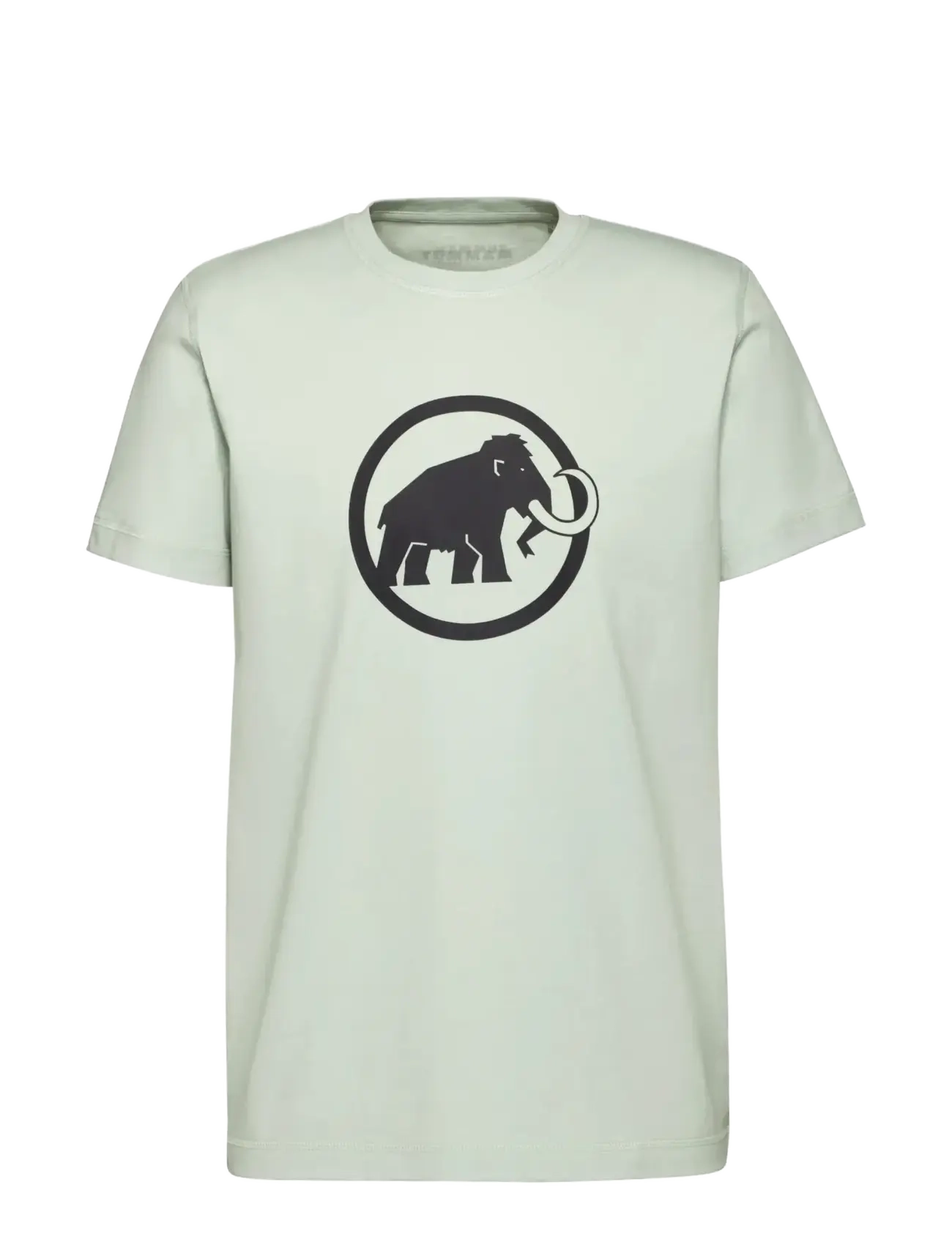 Mammut Mammut Core T-Shirt Men Classic - T-shirts - SILVER SAGE / green