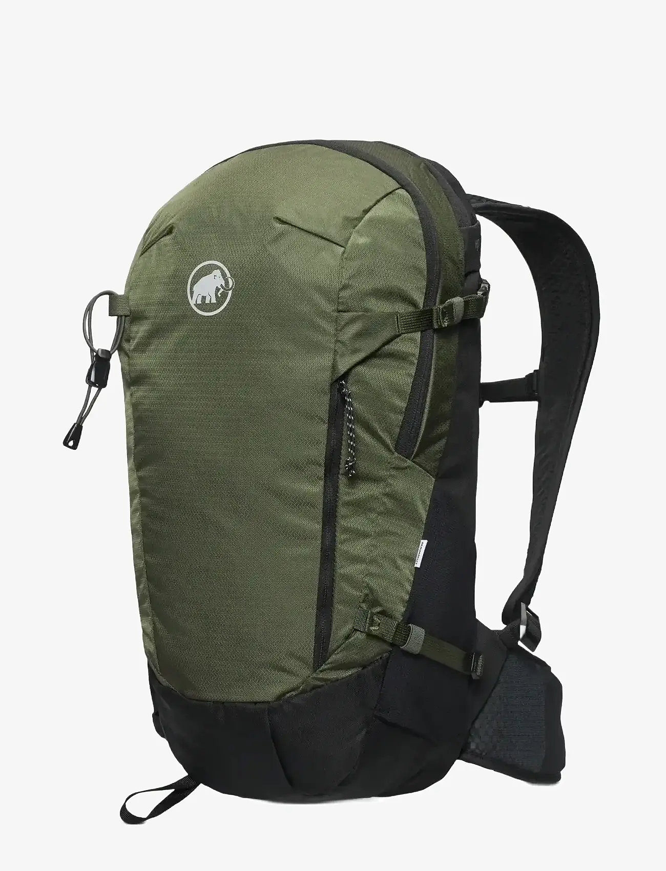 Mammut - Litium 20 - träningsväskor - dark marsh-black - 1