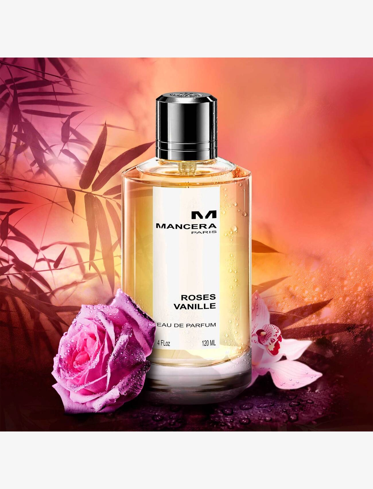 Roses Vanille Eau De Parfums 6