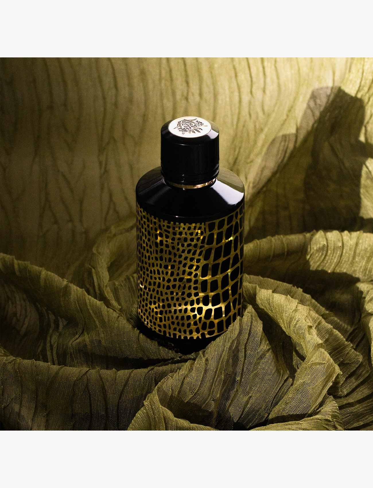 Wild Phyton Eau De Parfums 2