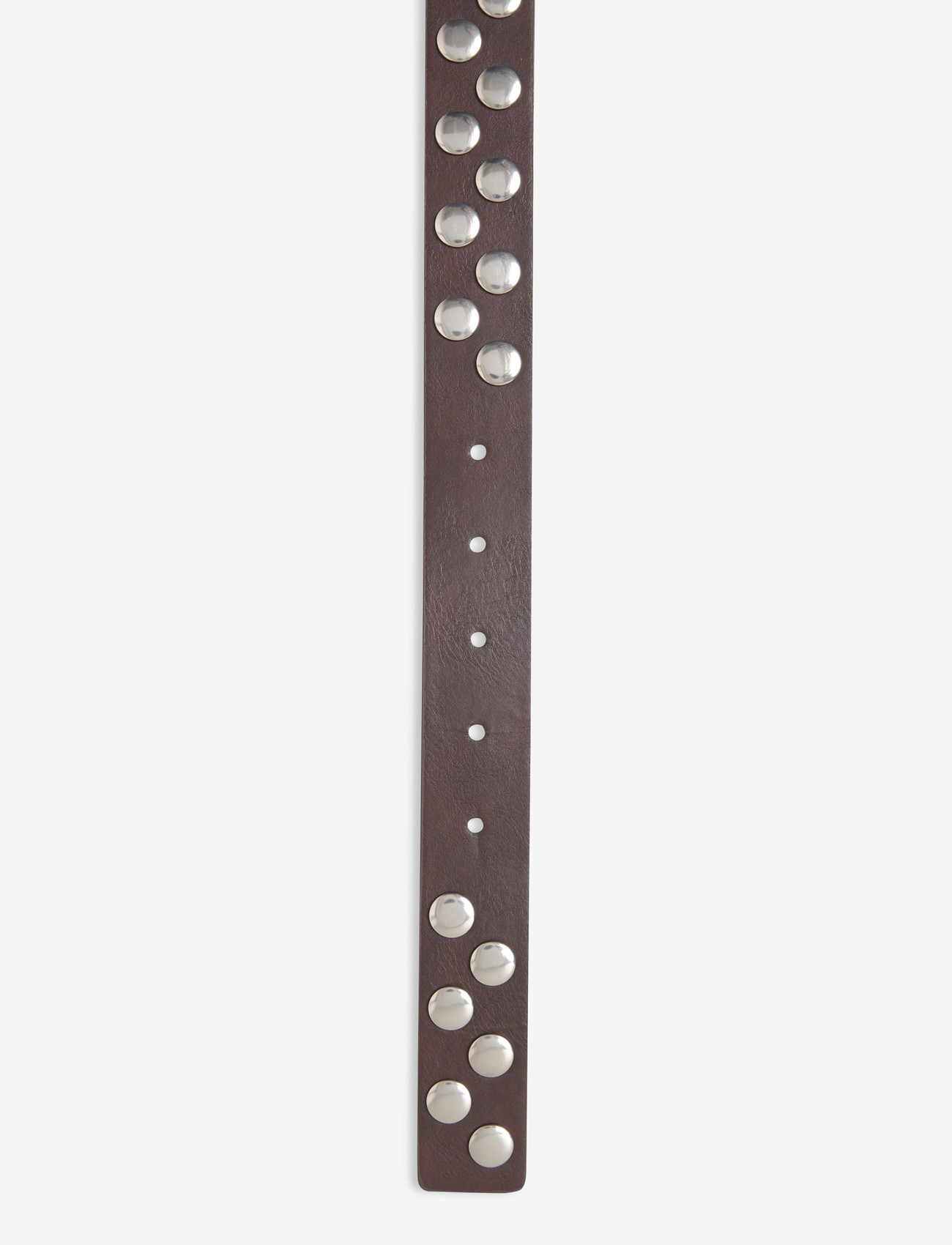 Mango - Studded belt - laveste priser - dark brown - 2