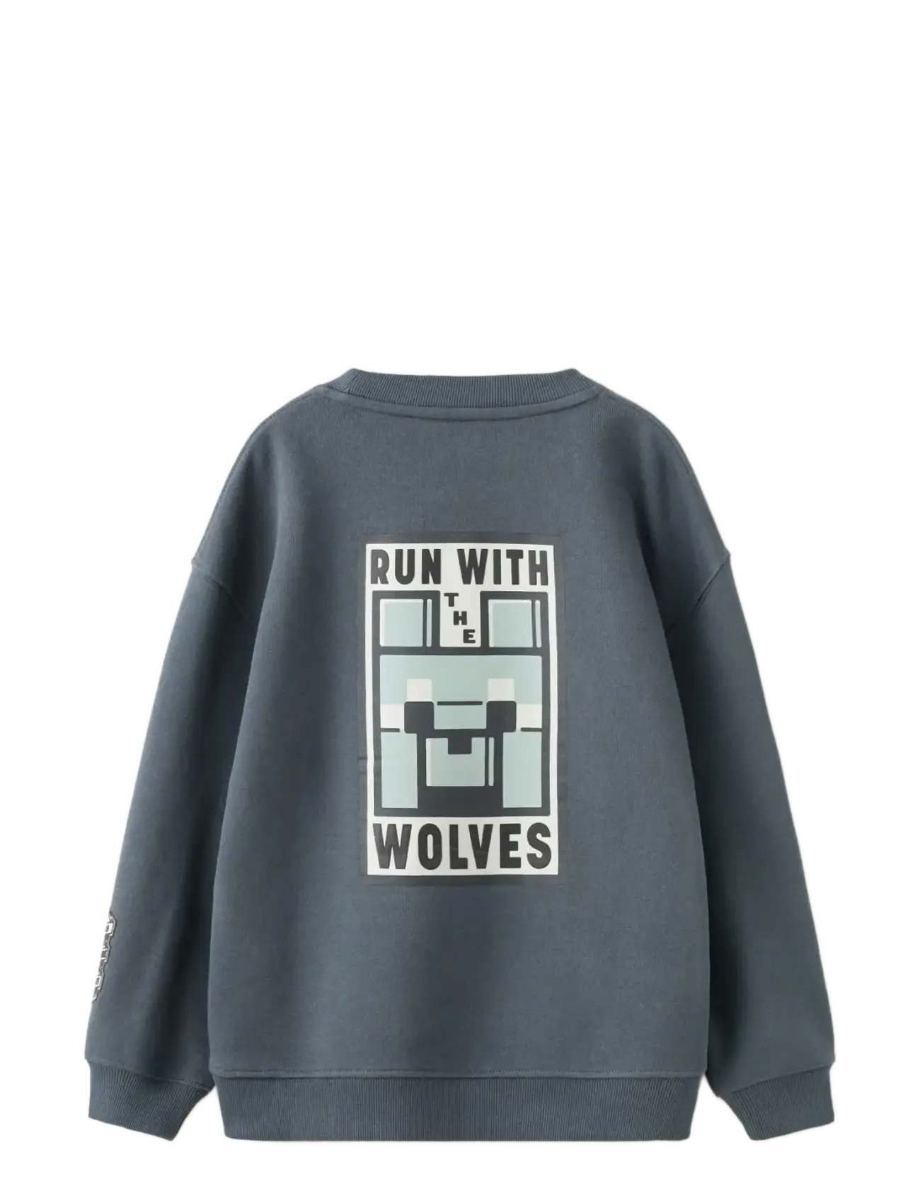 Mango - Minecraft sweatshirt - sweatshirts - charcoal - 1