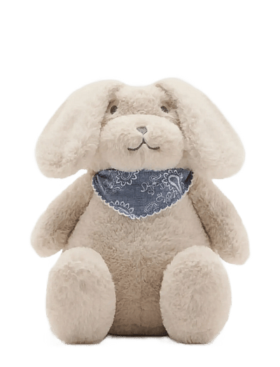 Doggy Backpack - RygsæKke