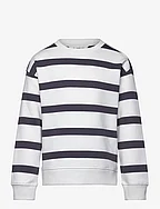 Striped print sweatshirt - CHARCOAL