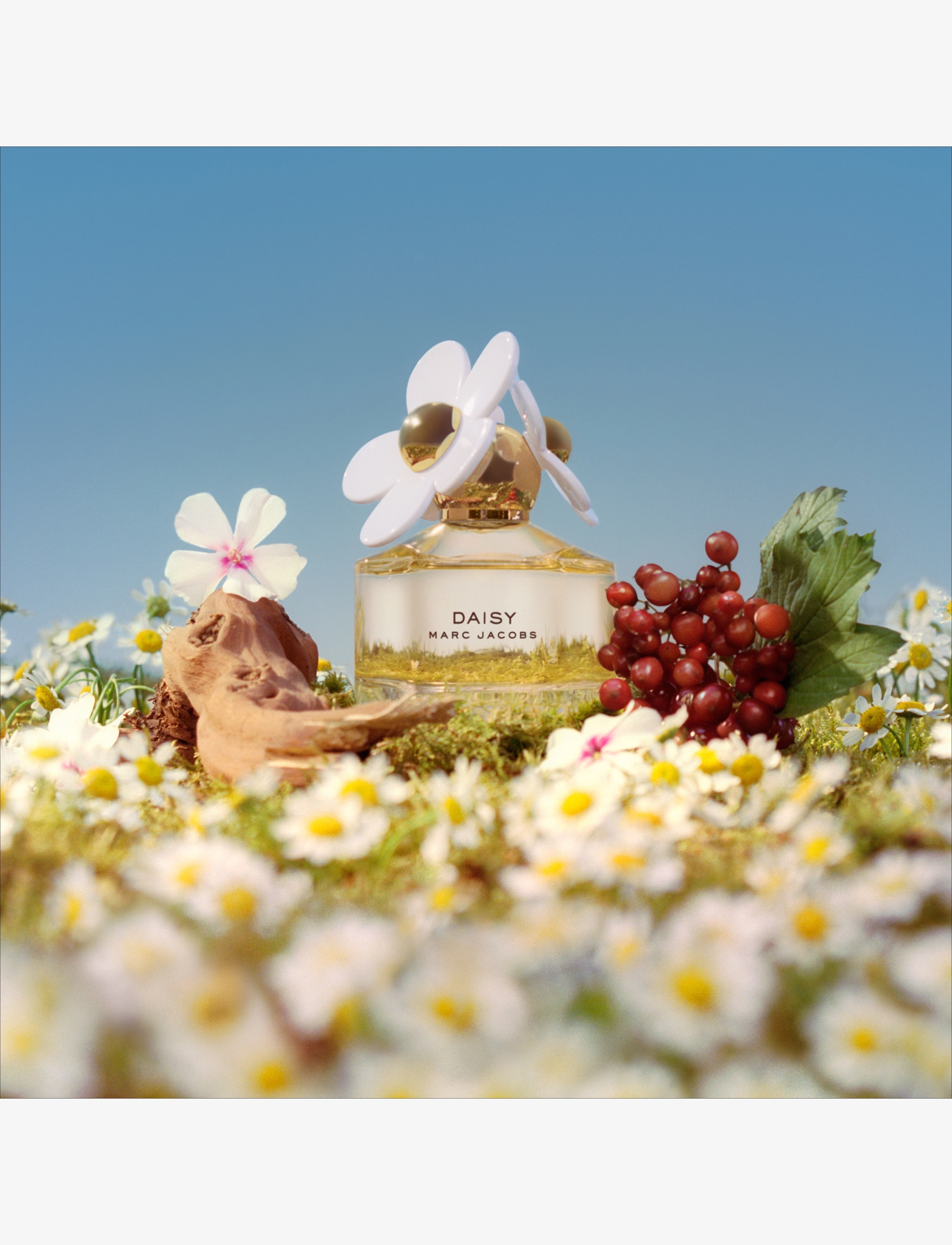 Marc Jacobs Fragrance - DAISY EAU DE TOILETTE - til henne - clear - 3