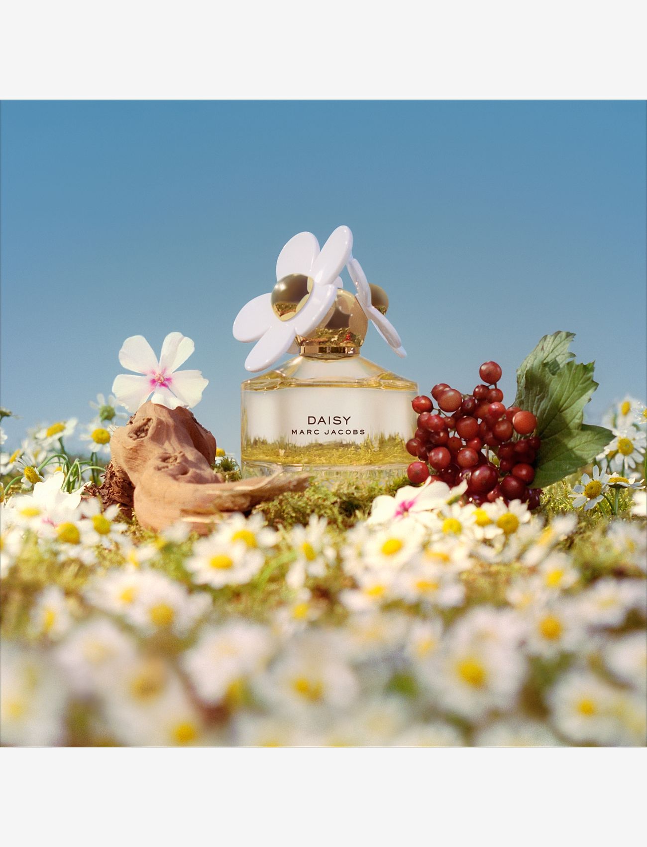 Marc Jacobs Fragrance - DAISY EAU DE TOILETTE - til hende  - clear - 3
