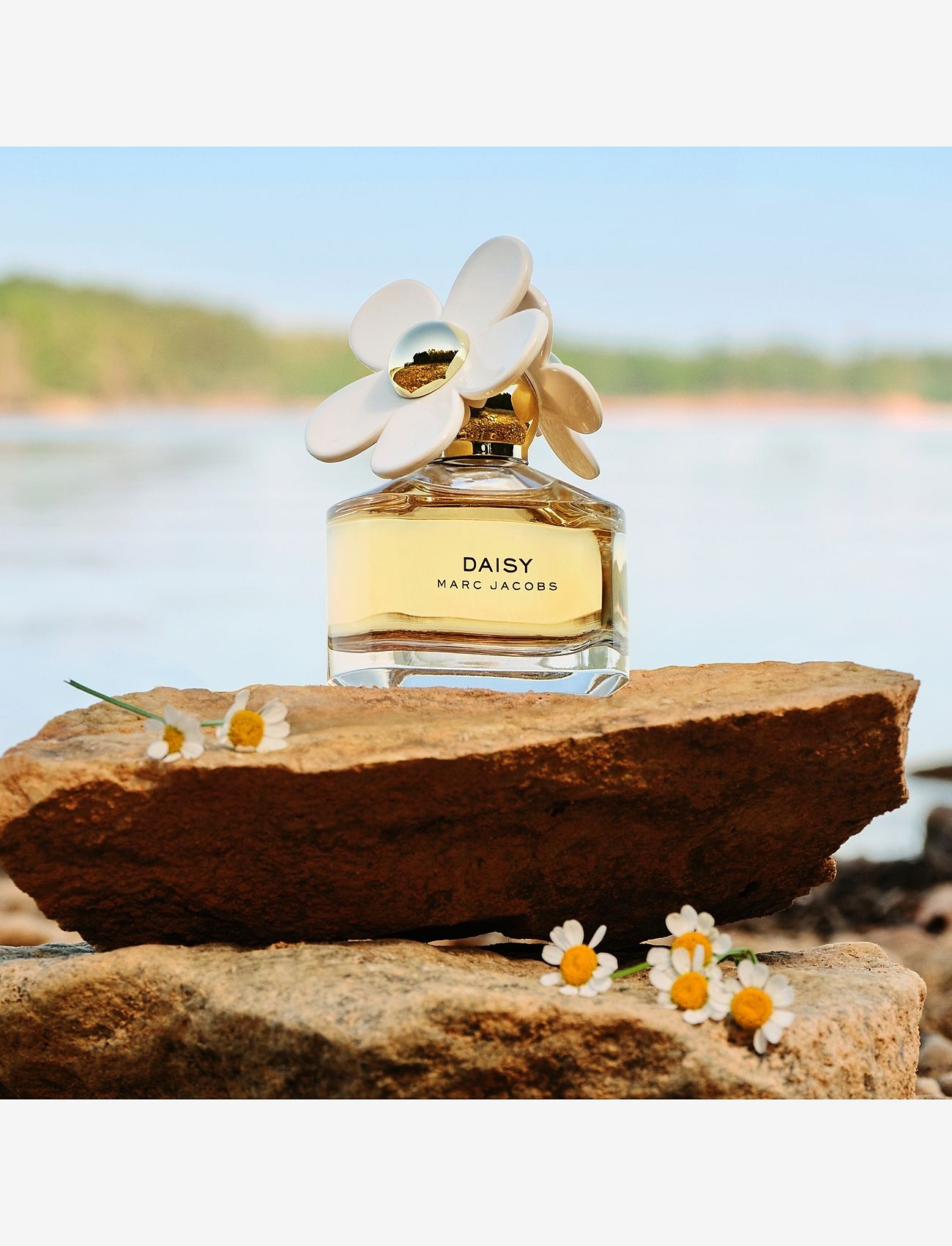 Marc Jacobs Fragrance - DAISY EAU DE TOILETTE - til hende  - clear - 5