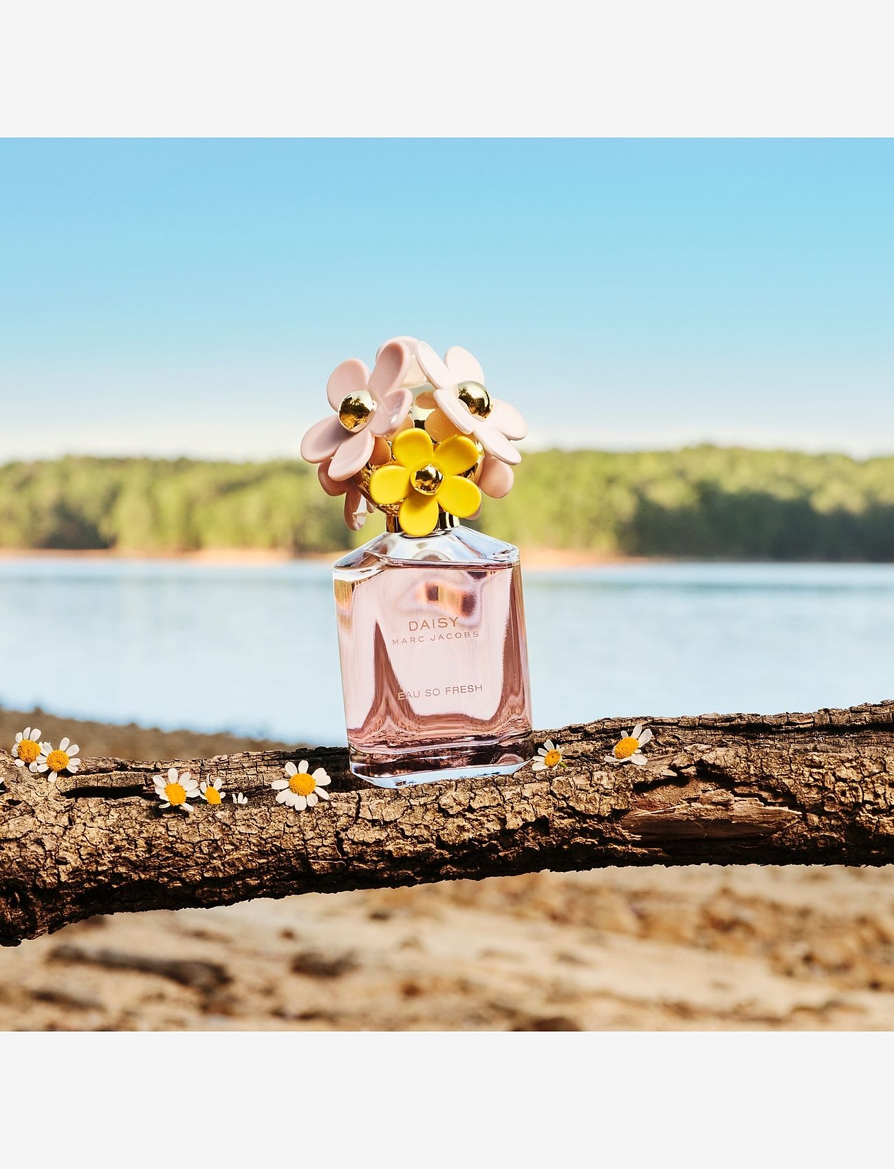 Marc Jacobs Fragrance - DAISY EAU FRESH EAU DETOILETTE - til hende  - clear - 4